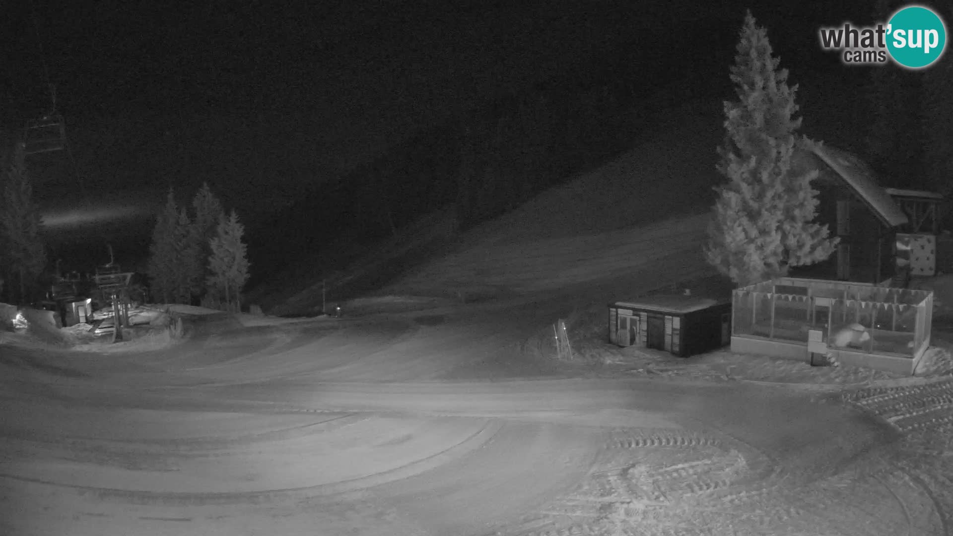 GOLTE Skigebiet webcam – Schöne Aussicht auf Medvedjak – Slowenien