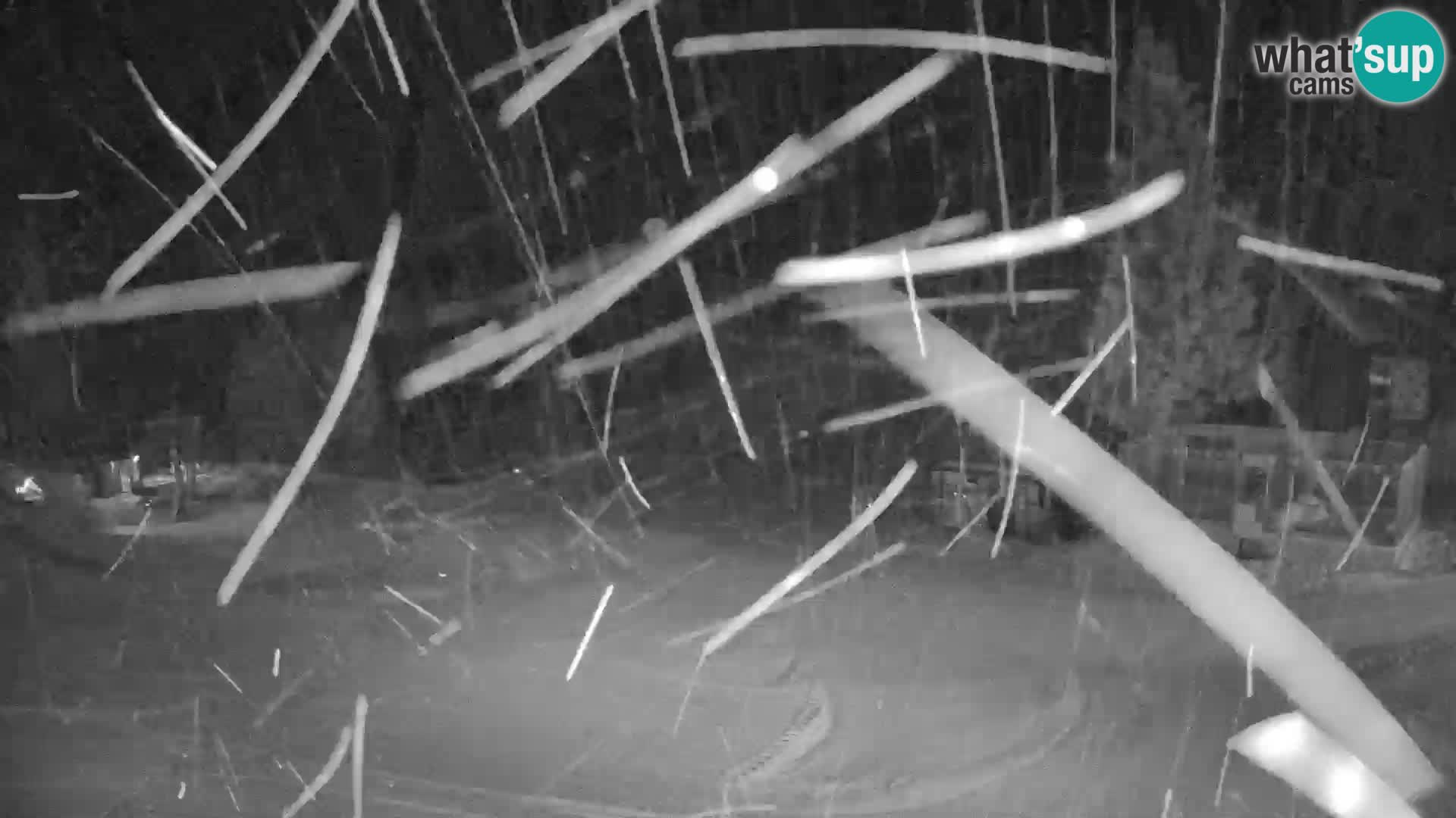 GOLTE stazione sciistica webcam – vista Medvedjak – Slovenia