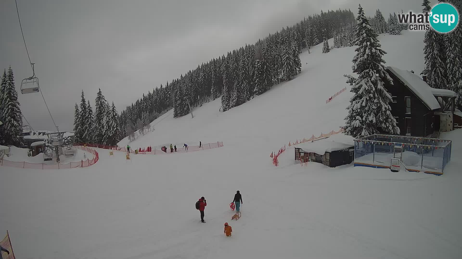Cámara web en vivo de la estación de esquí GOLTE – vista a Medvedjak – Eslovenia