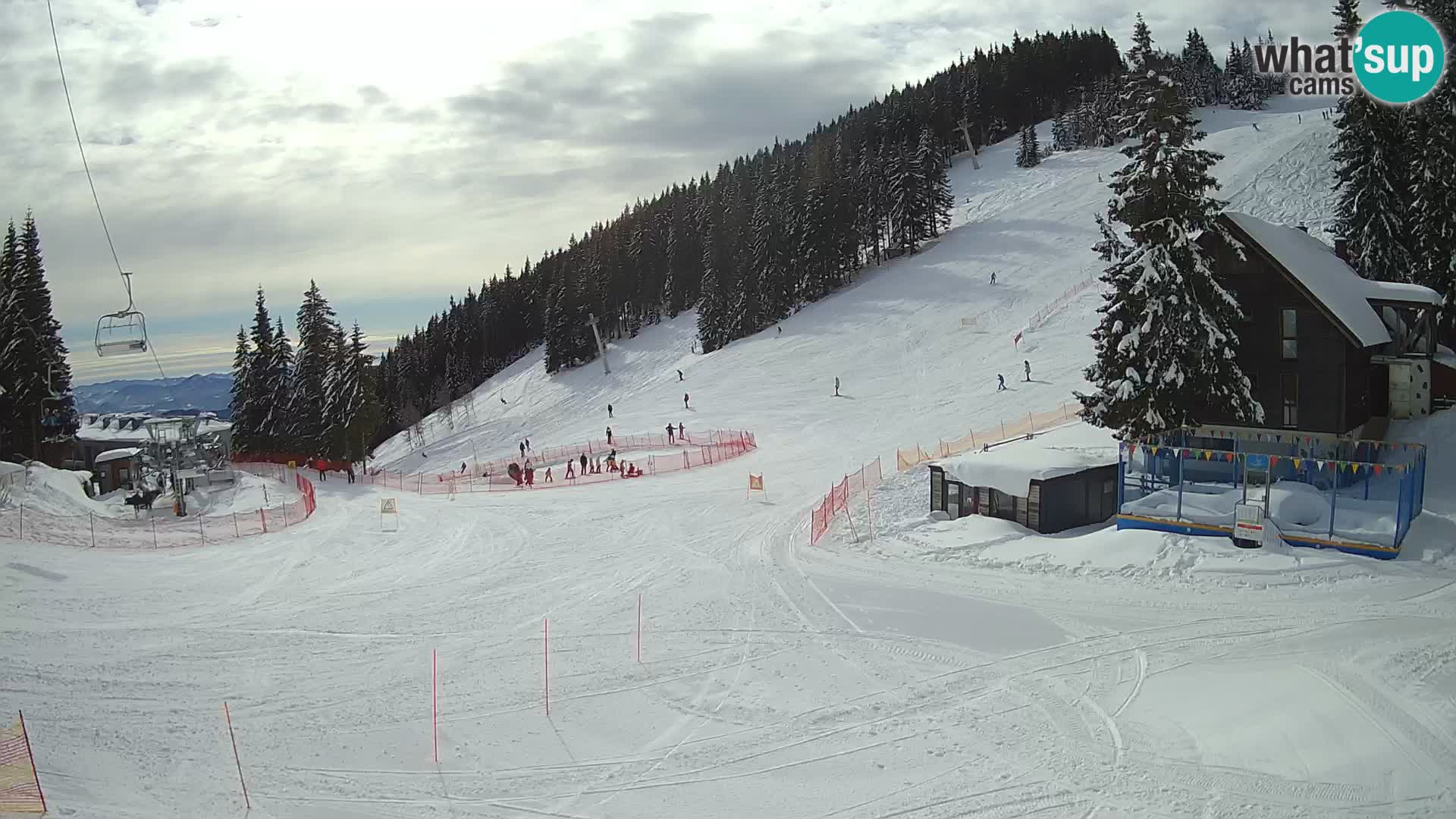 GOLTE Skigebiet webcam – Schöne Aussicht auf Medvedjak – Slowenien