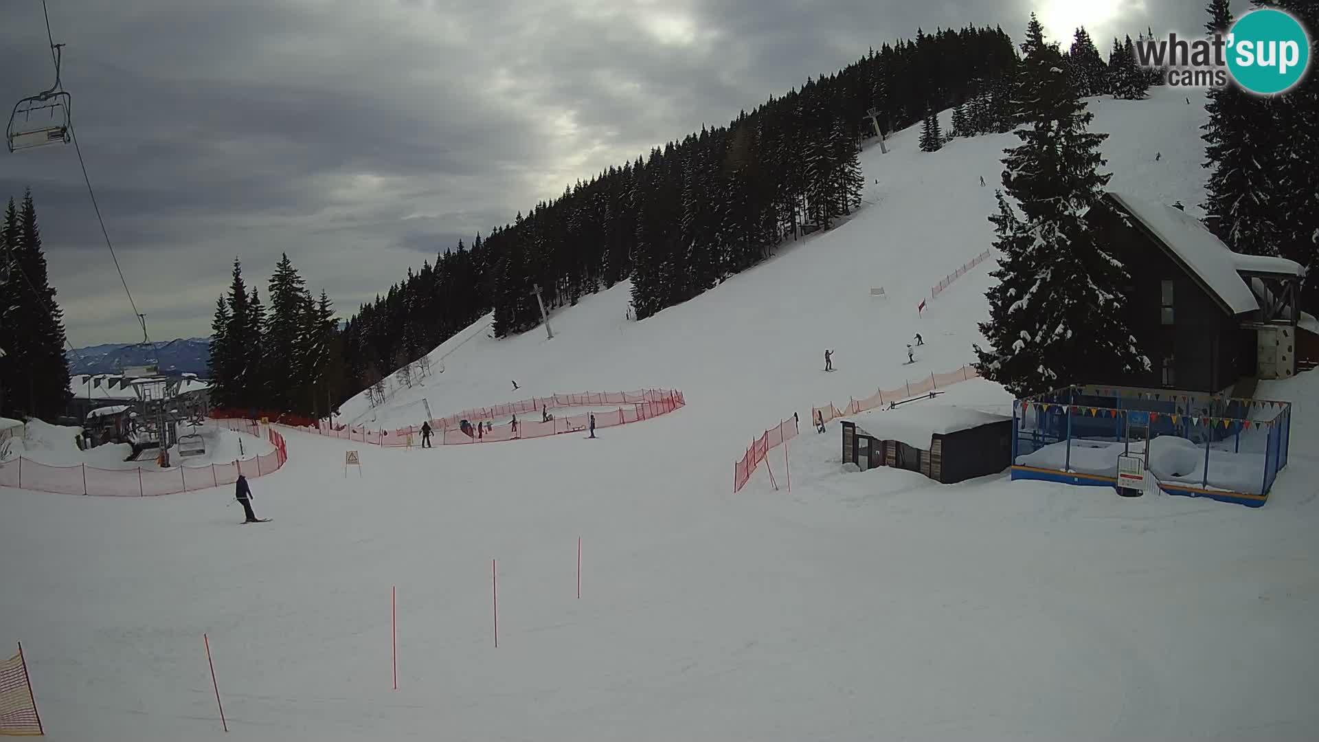 GOLTE Skigebiet webcam – Schöne Aussicht auf Medvedjak – Slowenien