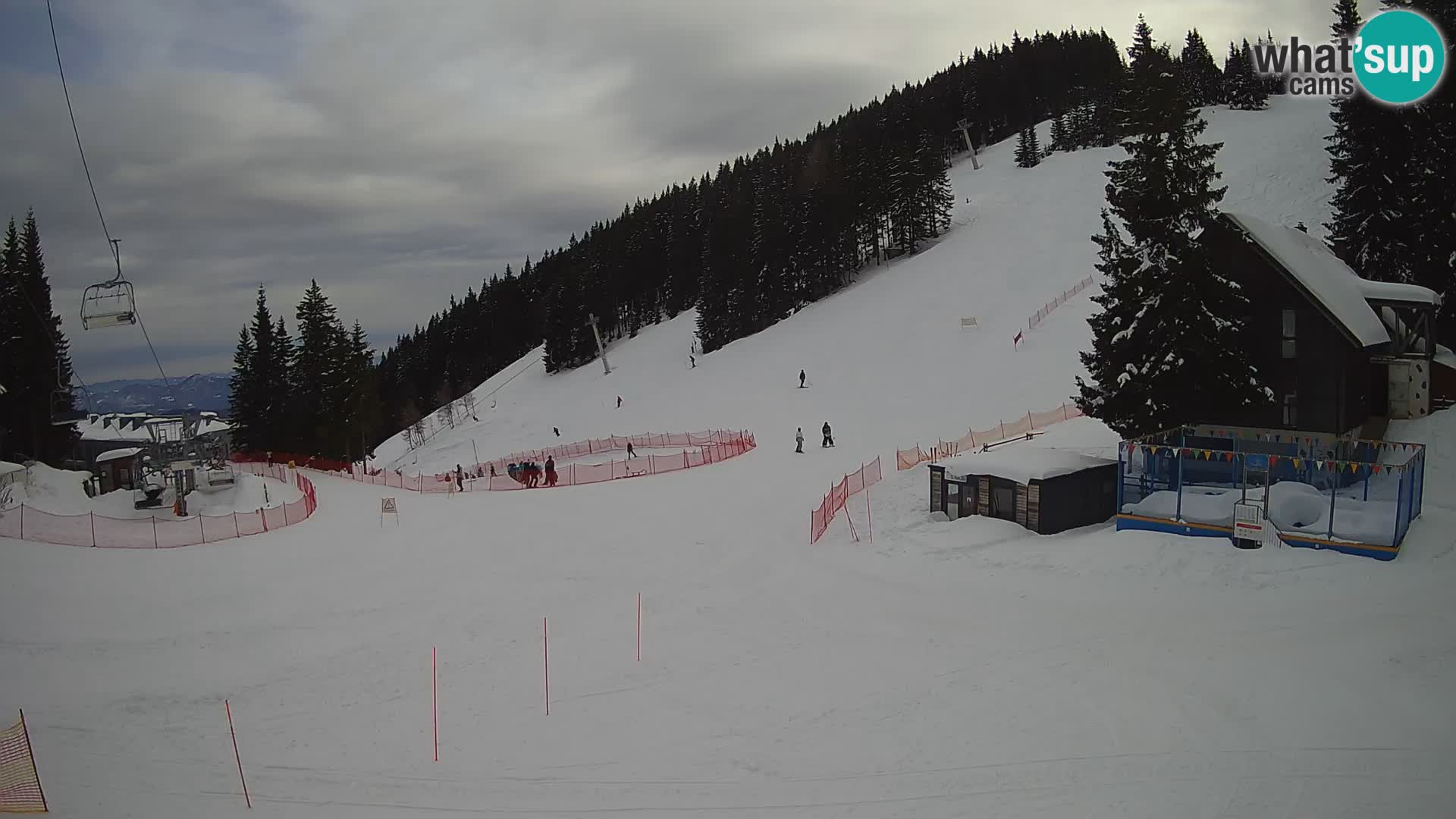 GOLTE Skigebiet webcam – Schöne Aussicht auf Medvedjak – Slowenien