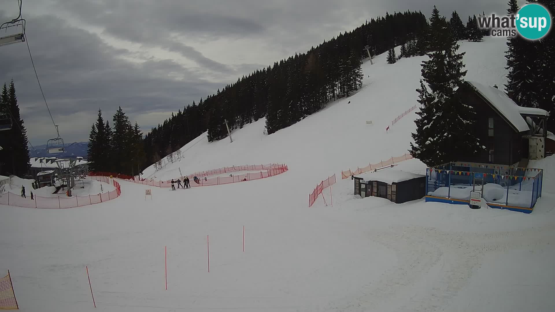 GOLTE stazione sciistica webcam – vista Medvedjak – Slovenia