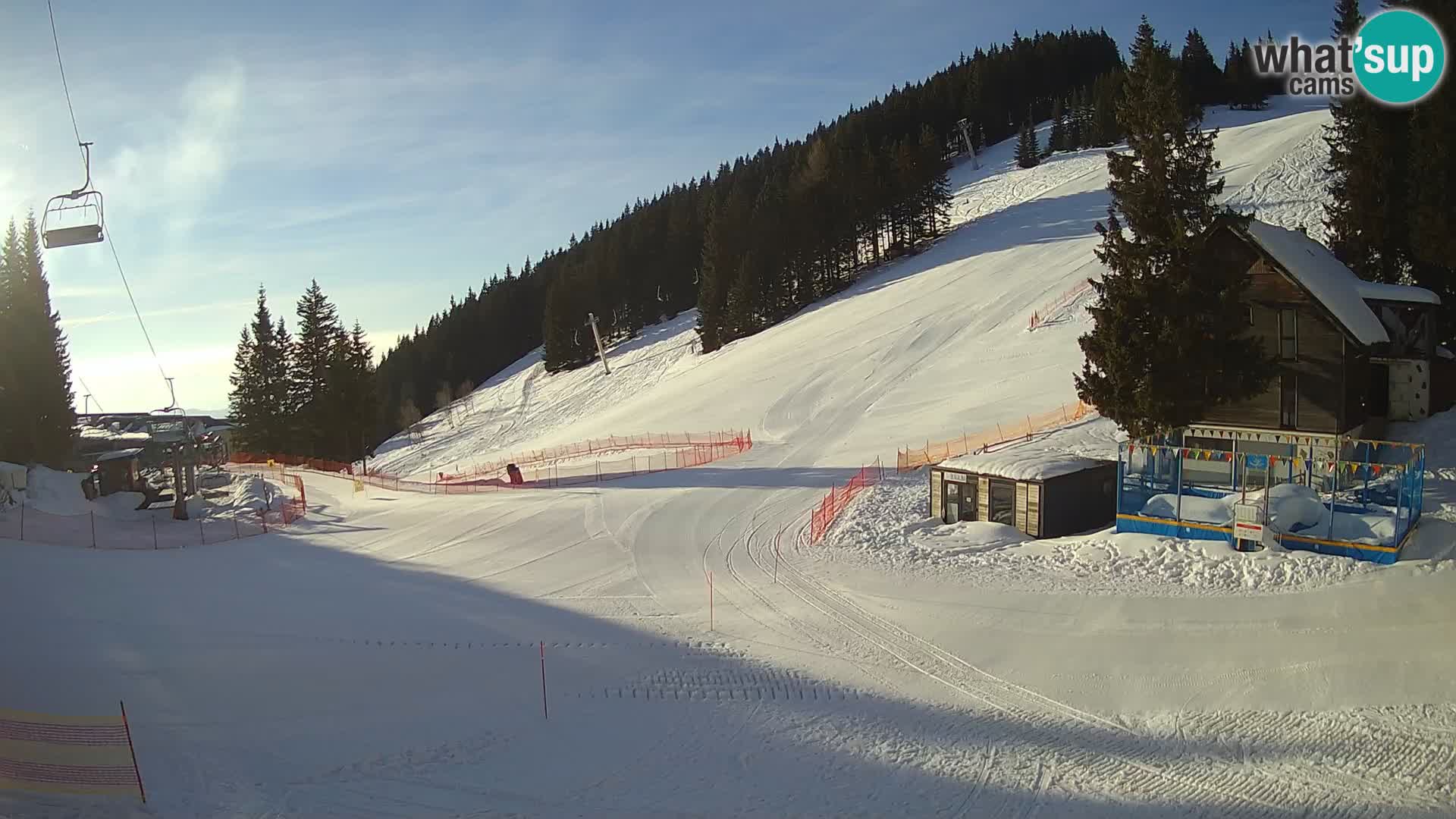 GOLTE stazione sciistica webcam – vista Medvedjak – Slovenia