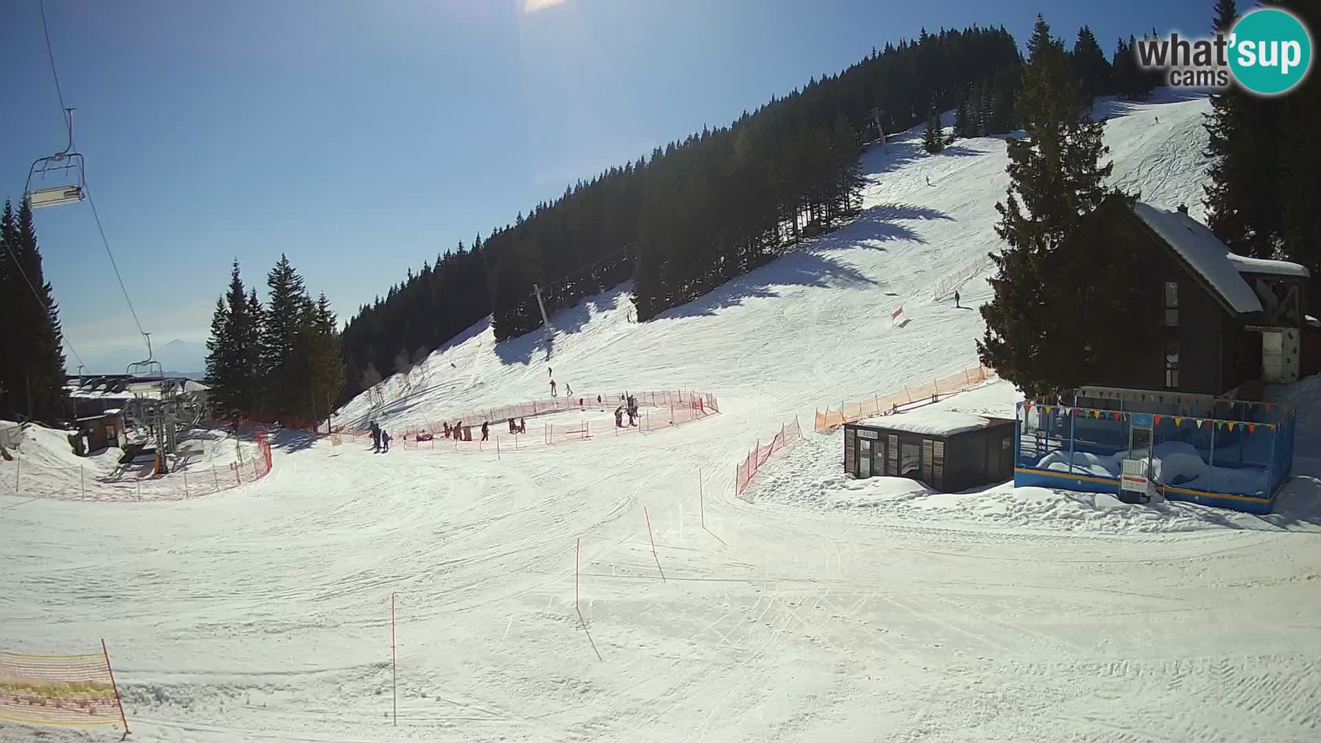 Spletna kamera smučišča GOLTE v živo – pogled na Medvedjak