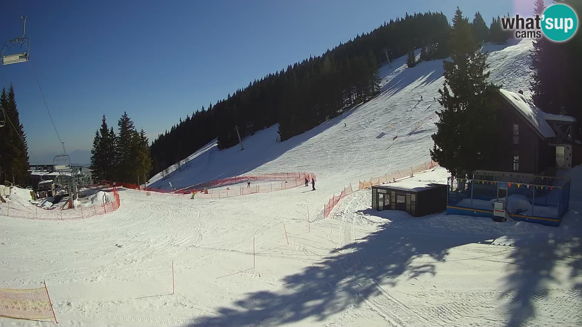 Spletna kamera smučišča GOLTE v živo – pogled na Medvedjak
