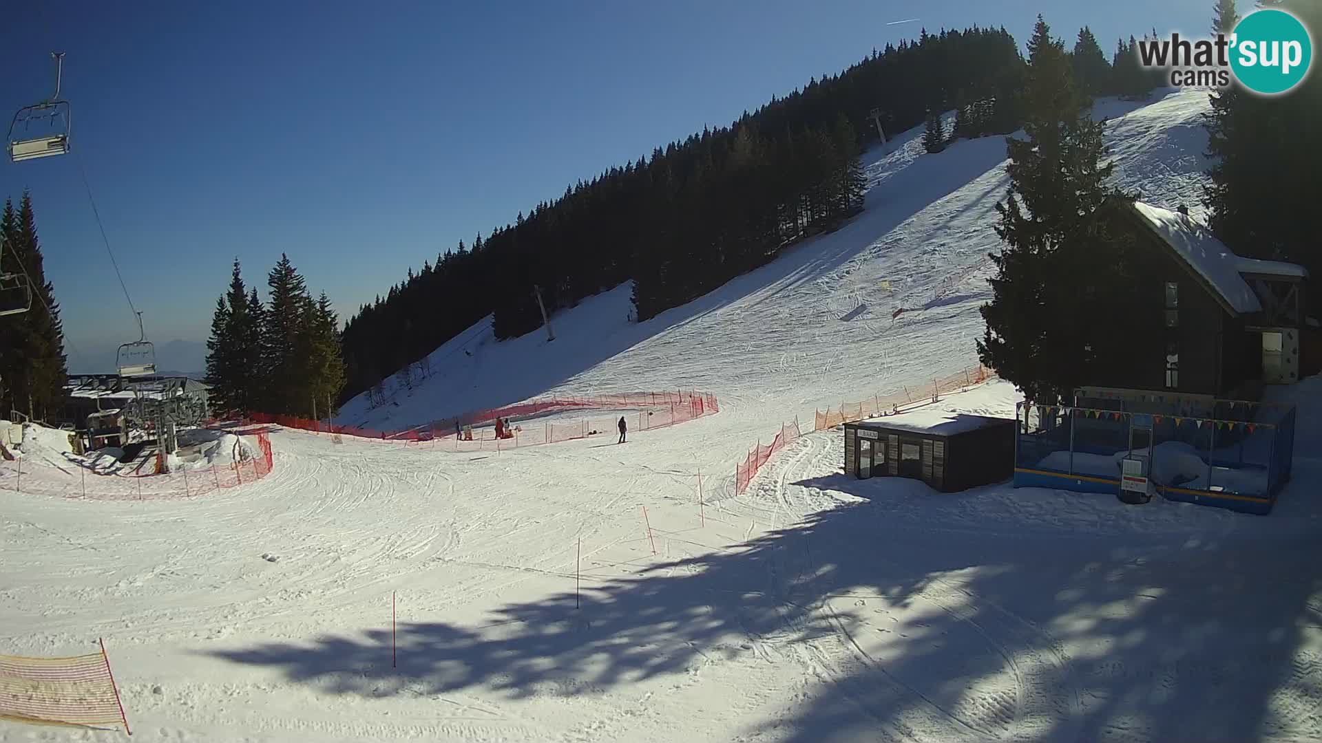 Spletna kamera smučišča GOLTE v živo – pogled na Medvedjak