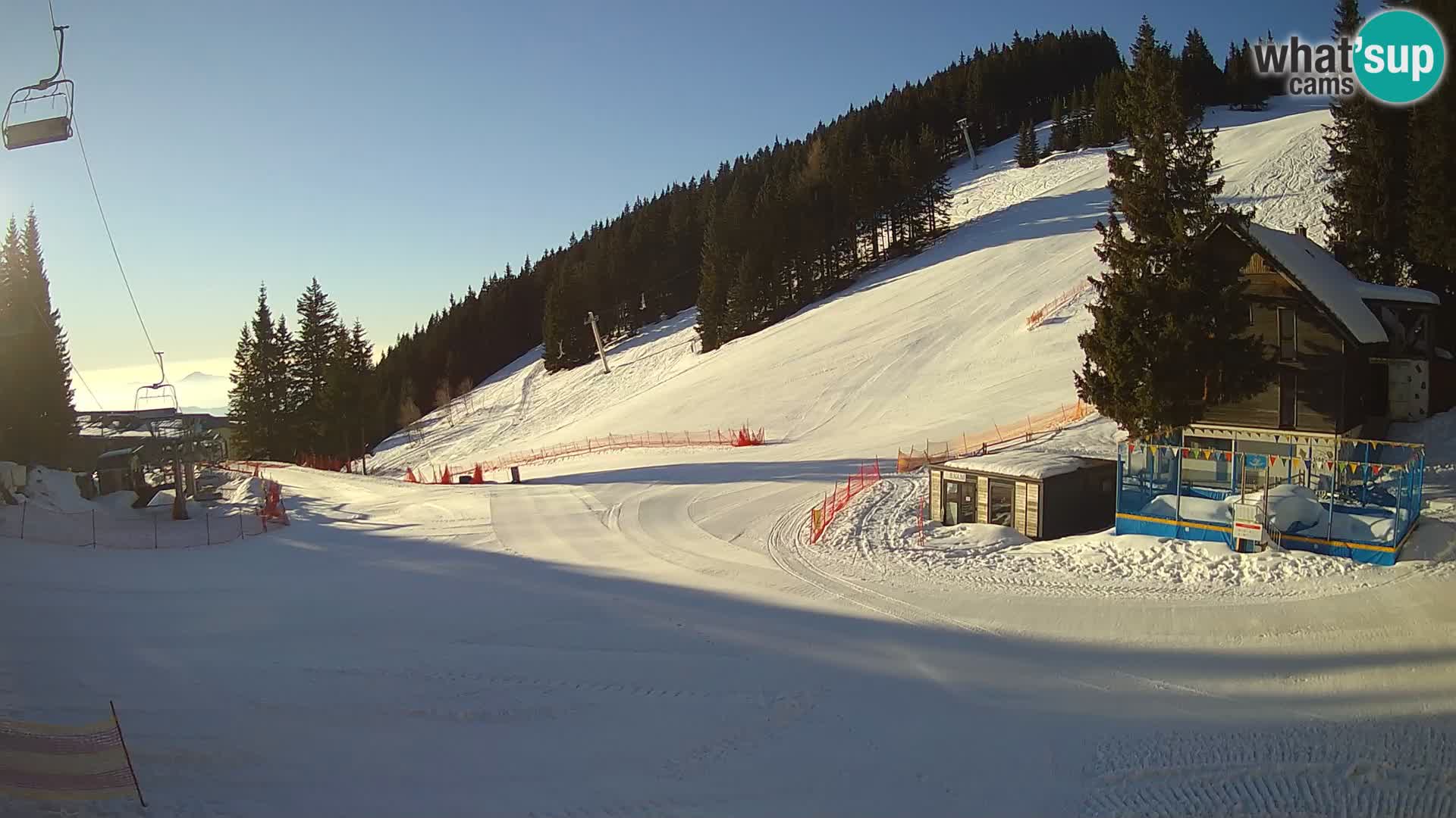 GOLTE Skigebiet webcam – Schöne Aussicht auf Medvedjak – Slowenien