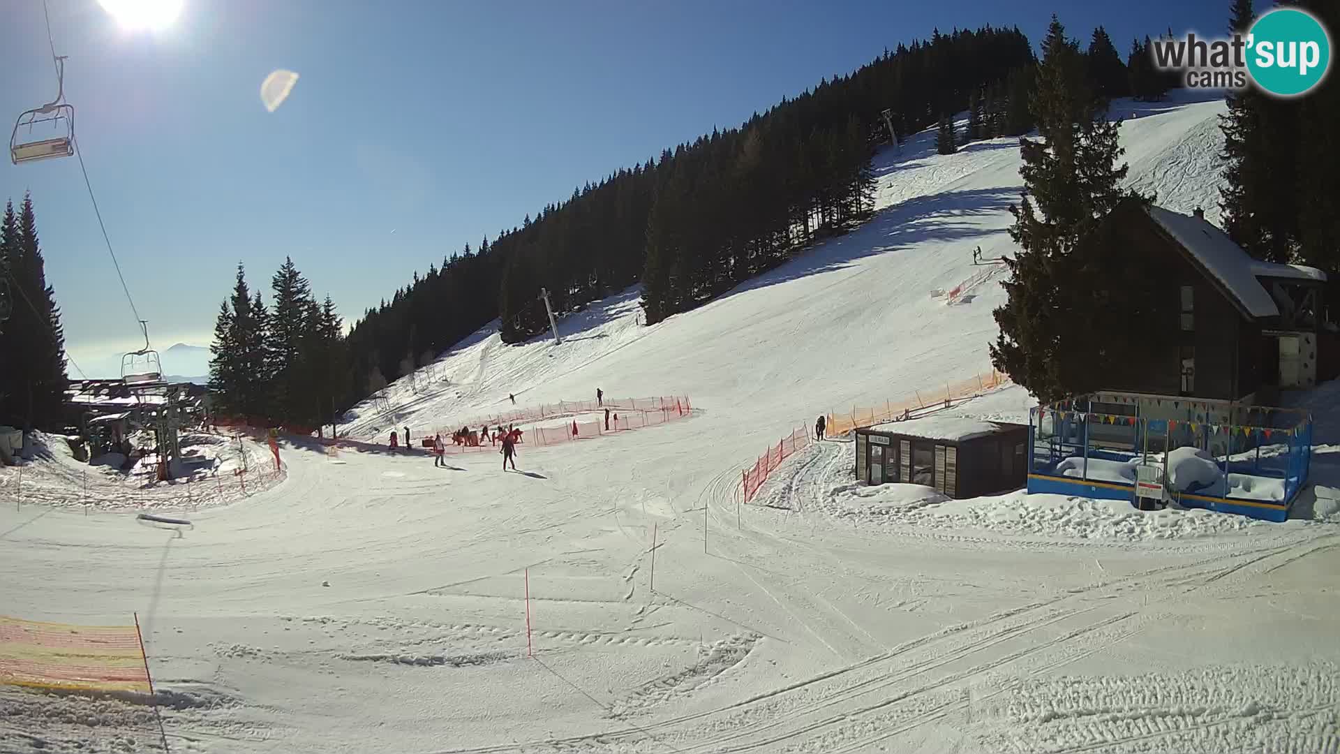 GOLTE Skigebiet webcam – Schöne Aussicht auf Medvedjak – Slowenien