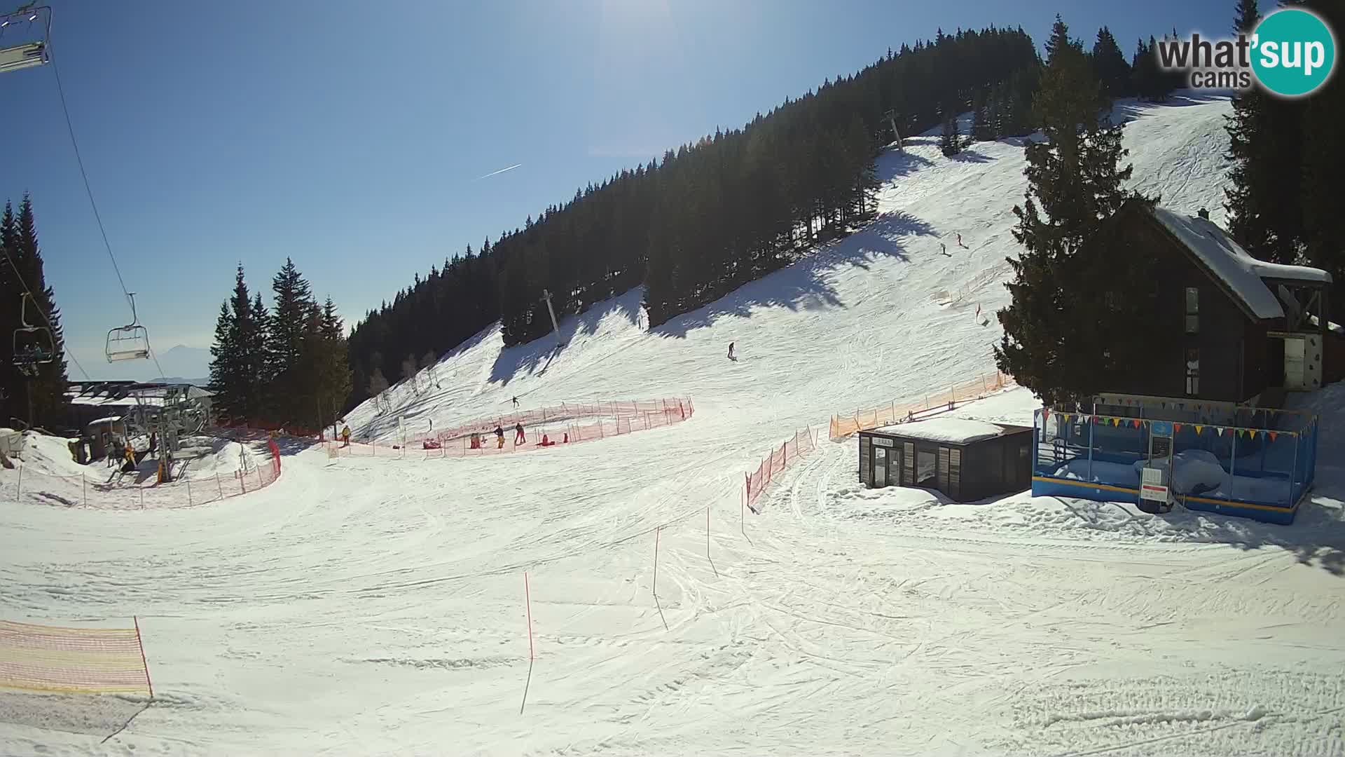 GOLTE Skigebiet webcam – Schöne Aussicht auf Medvedjak – Slowenien