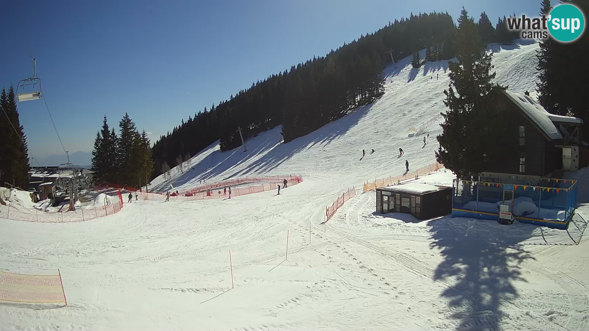 Spletna kamera smučišča GOLTE v živo – pogled na Medvedjak