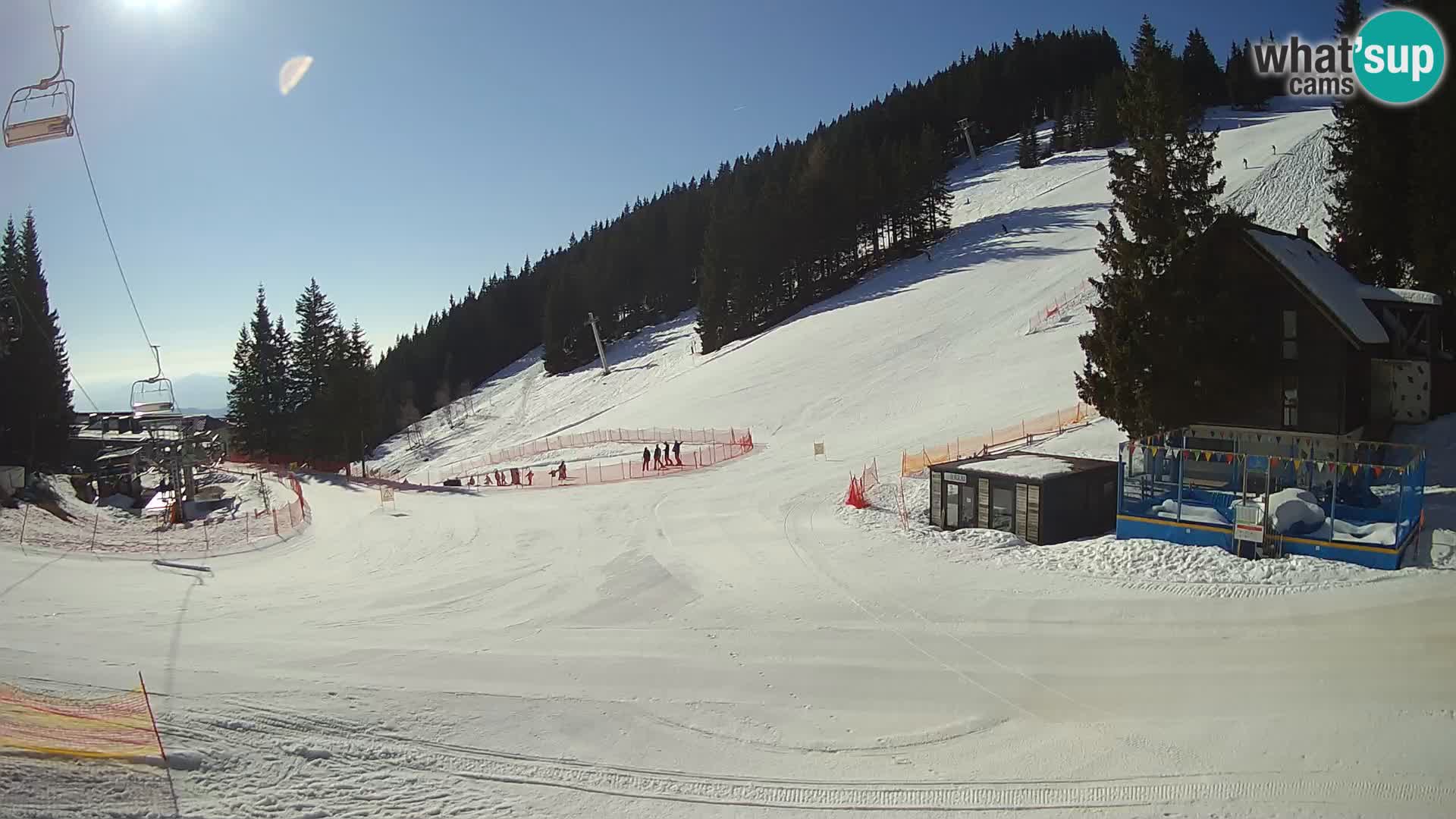 Cámara web en vivo de la estación de esquí GOLTE – vista a Medvedjak – Eslovenia