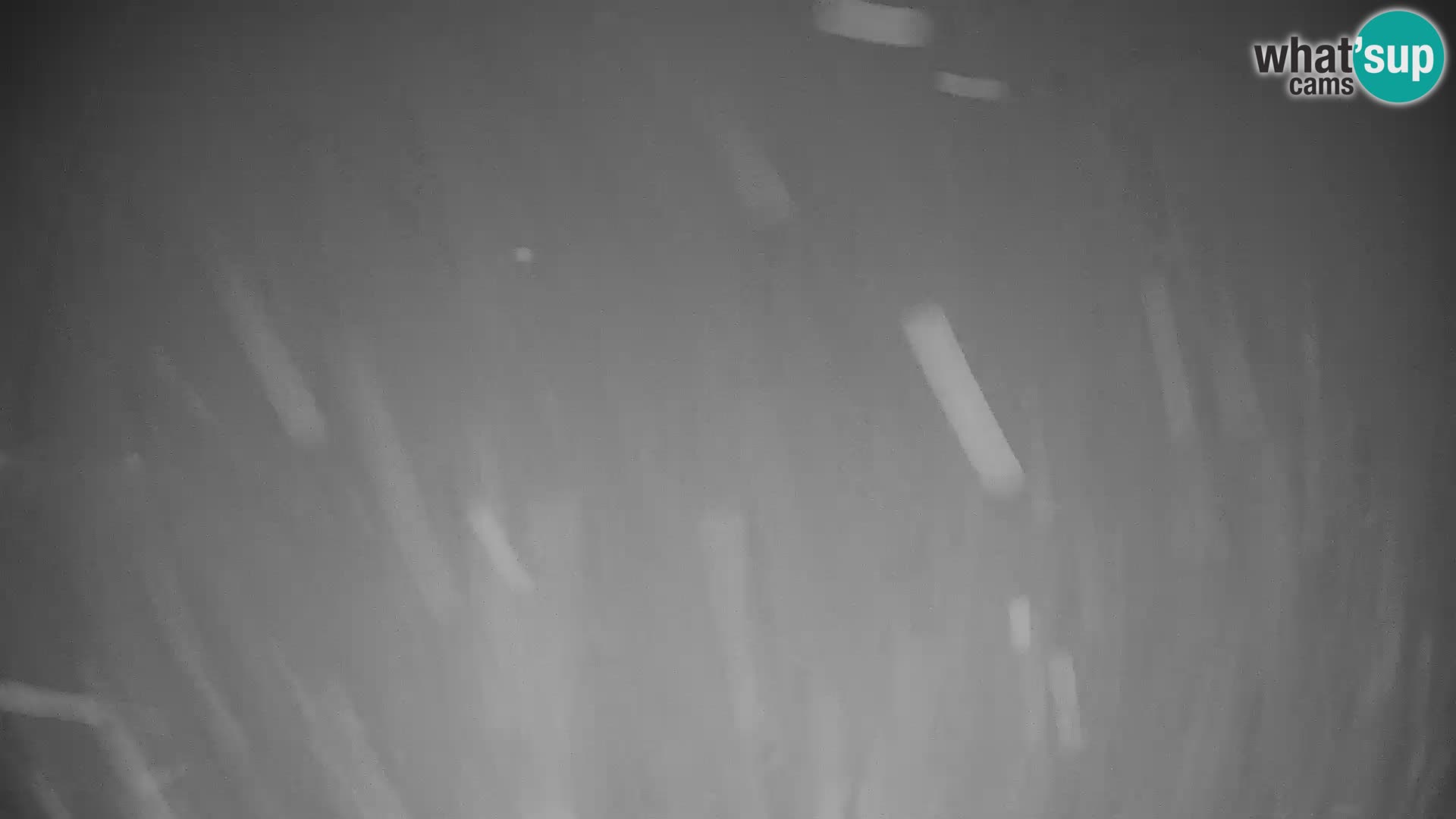 GOLTE Skigebiet webcam – Schöne Aussicht auf Medvedjak – Slowenien