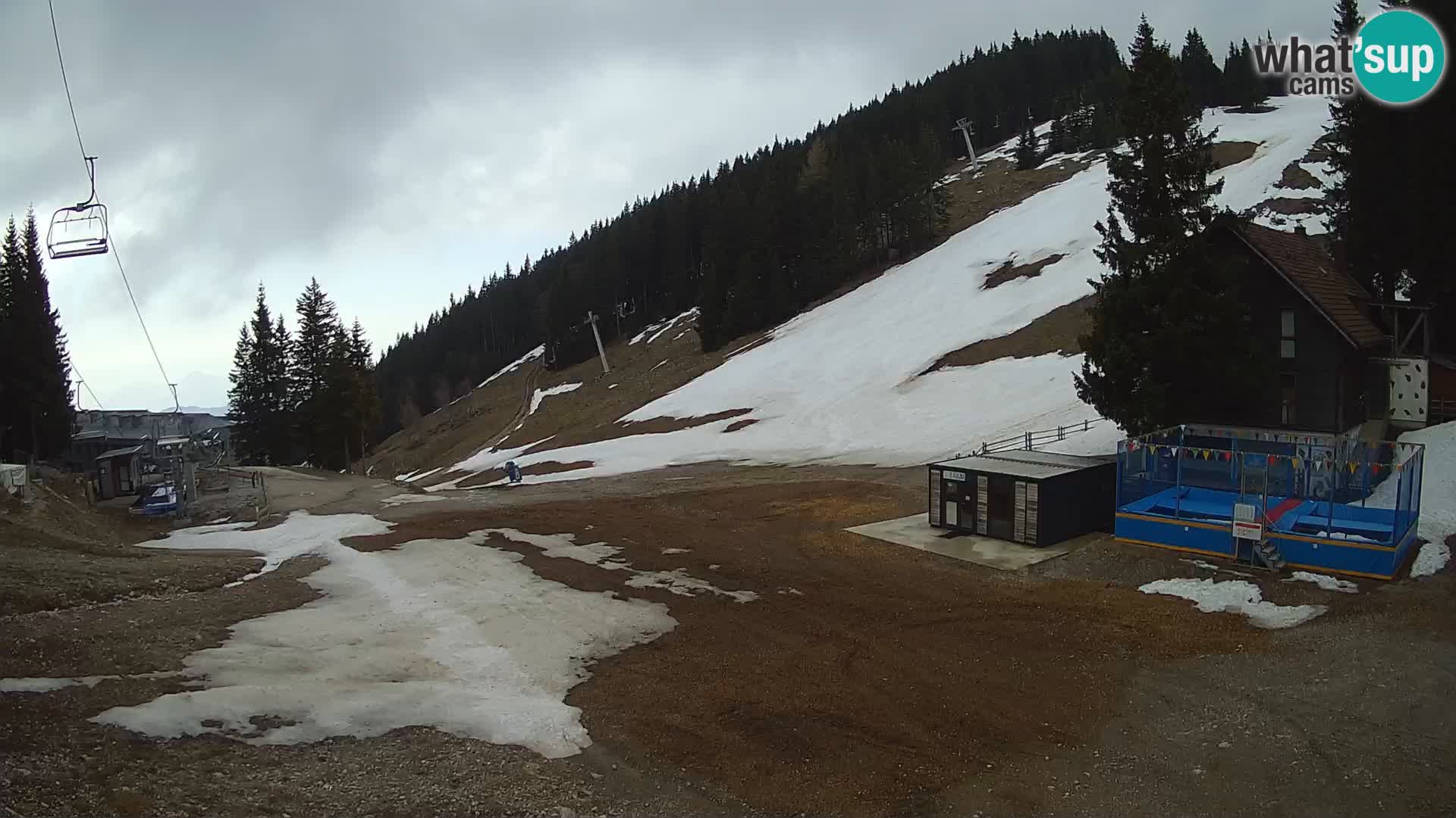 Spletna kamera smučišča GOLTE v živo – pogled na Medvedjak