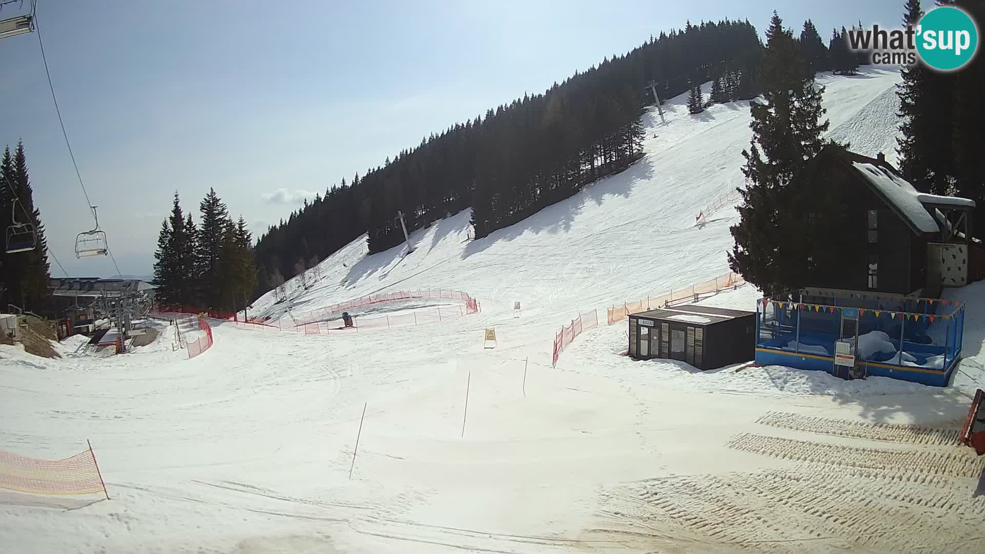 GOLTE Skigebiet webcam – Schöne Aussicht auf Medvedjak – Slowenien