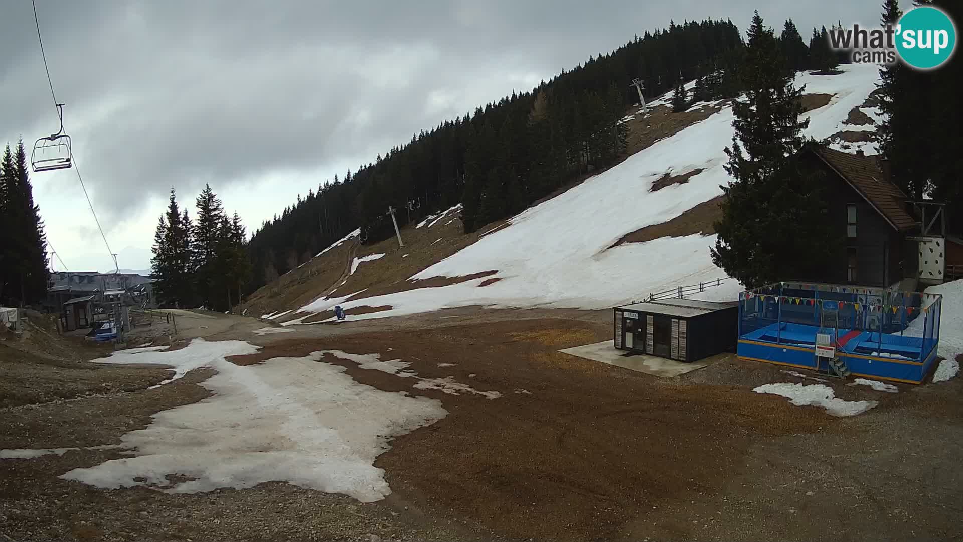 Spletna kamera smučišča GOLTE v živo – pogled na Medvedjak
