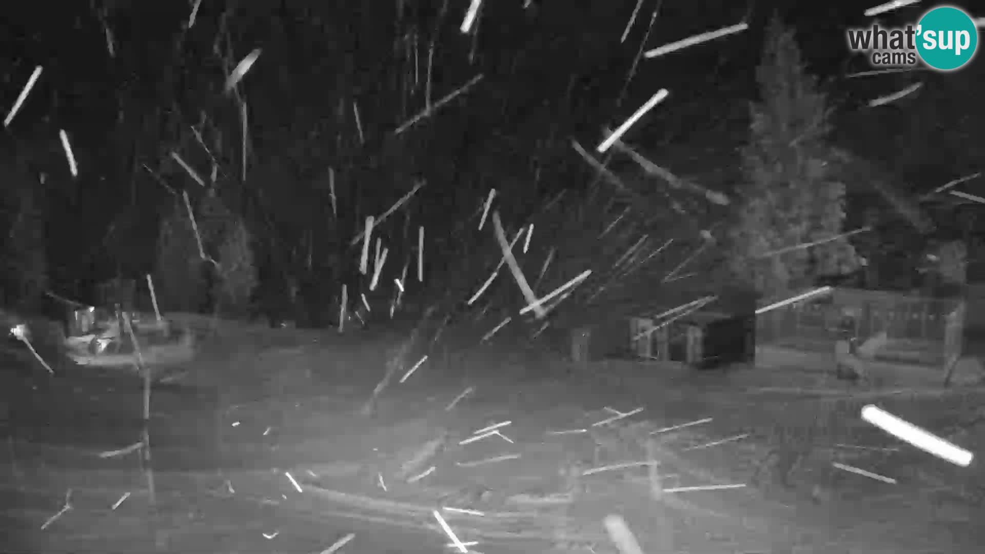 Spletna kamera smučišča GOLTE v živo – pogled na Medvedjak