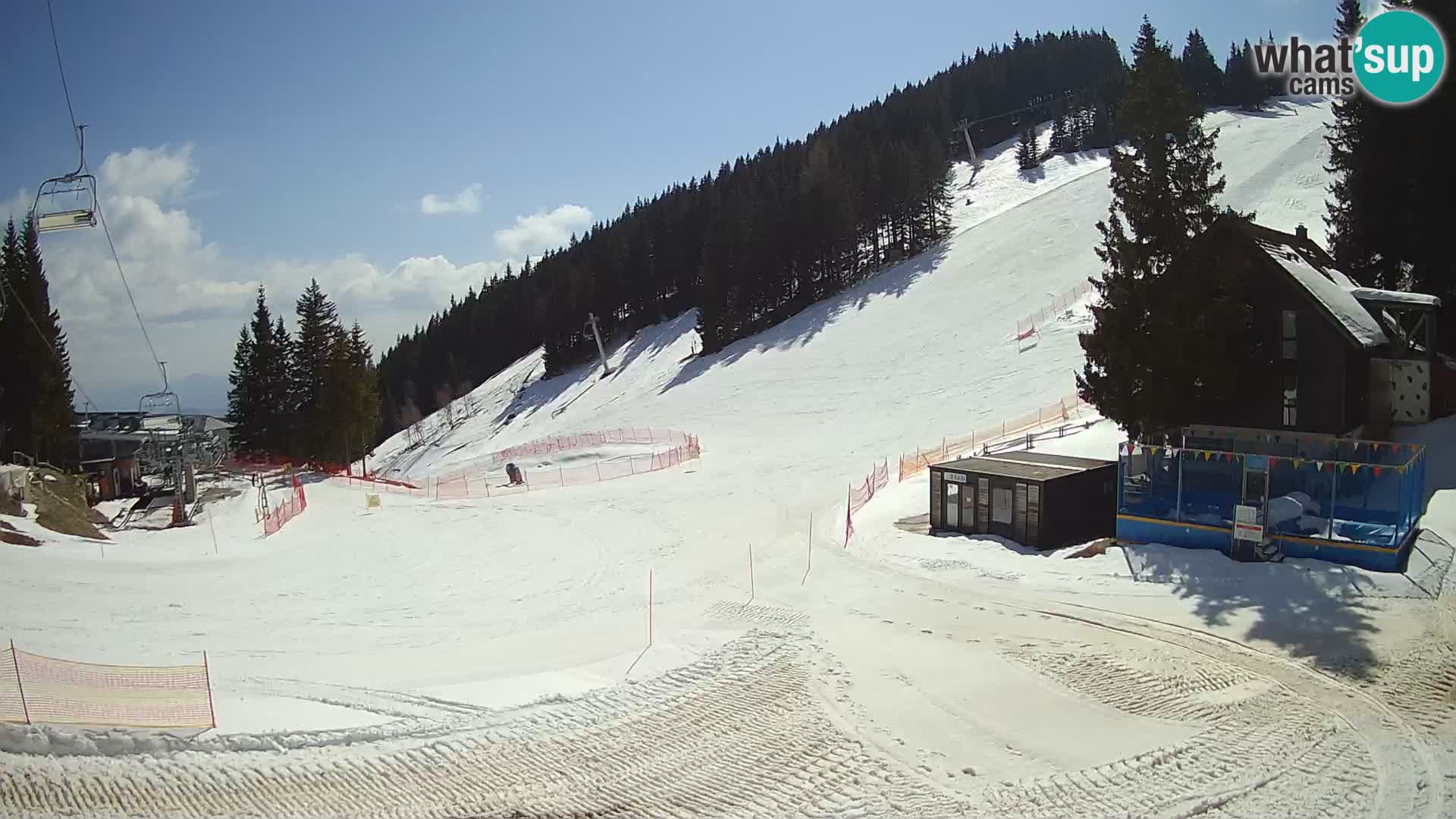 GOLTE Skigebiet webcam – Schöne Aussicht auf Medvedjak – Slowenien
