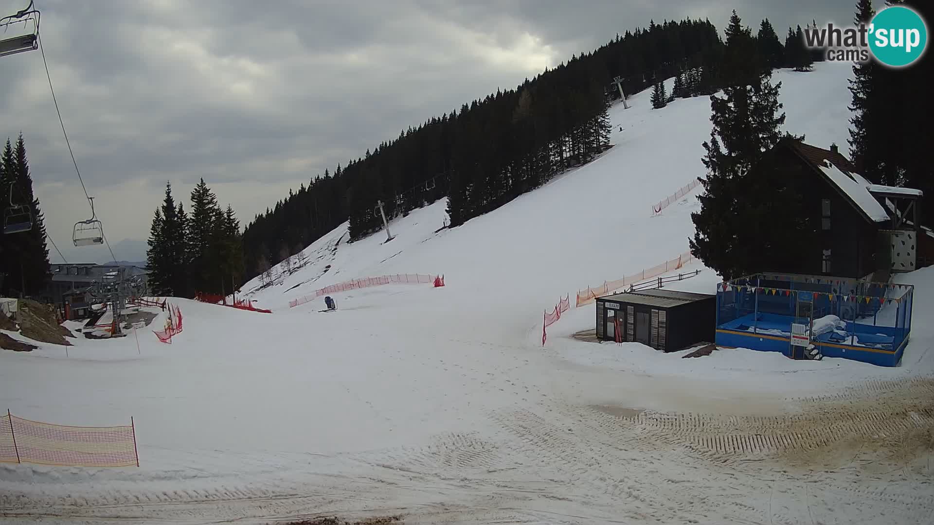 Spletna kamera smučišča GOLTE v živo – pogled na Medvedjak