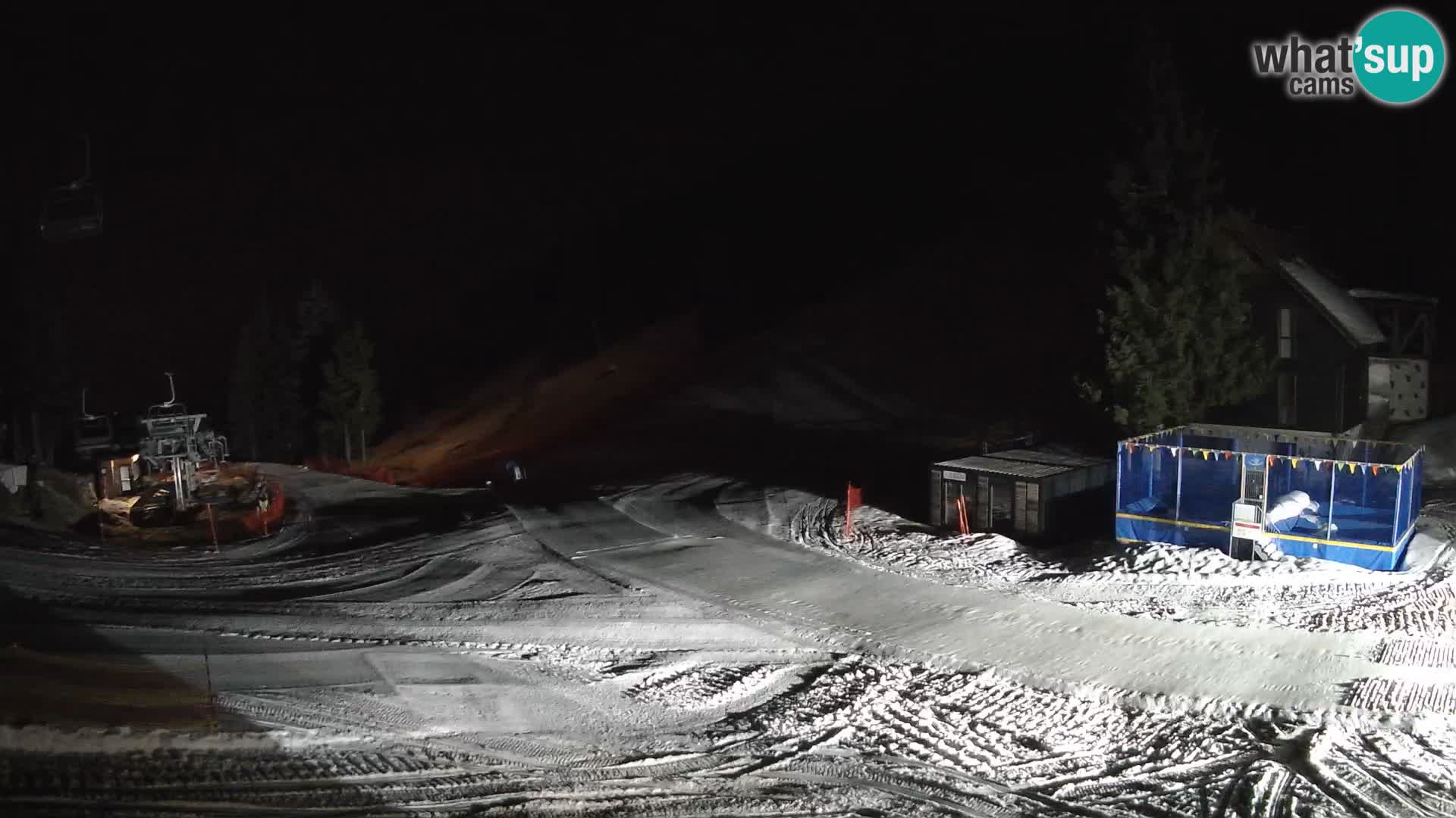 GOLTE Skigebiet webcam – Schöne Aussicht auf Medvedjak – Slowenien