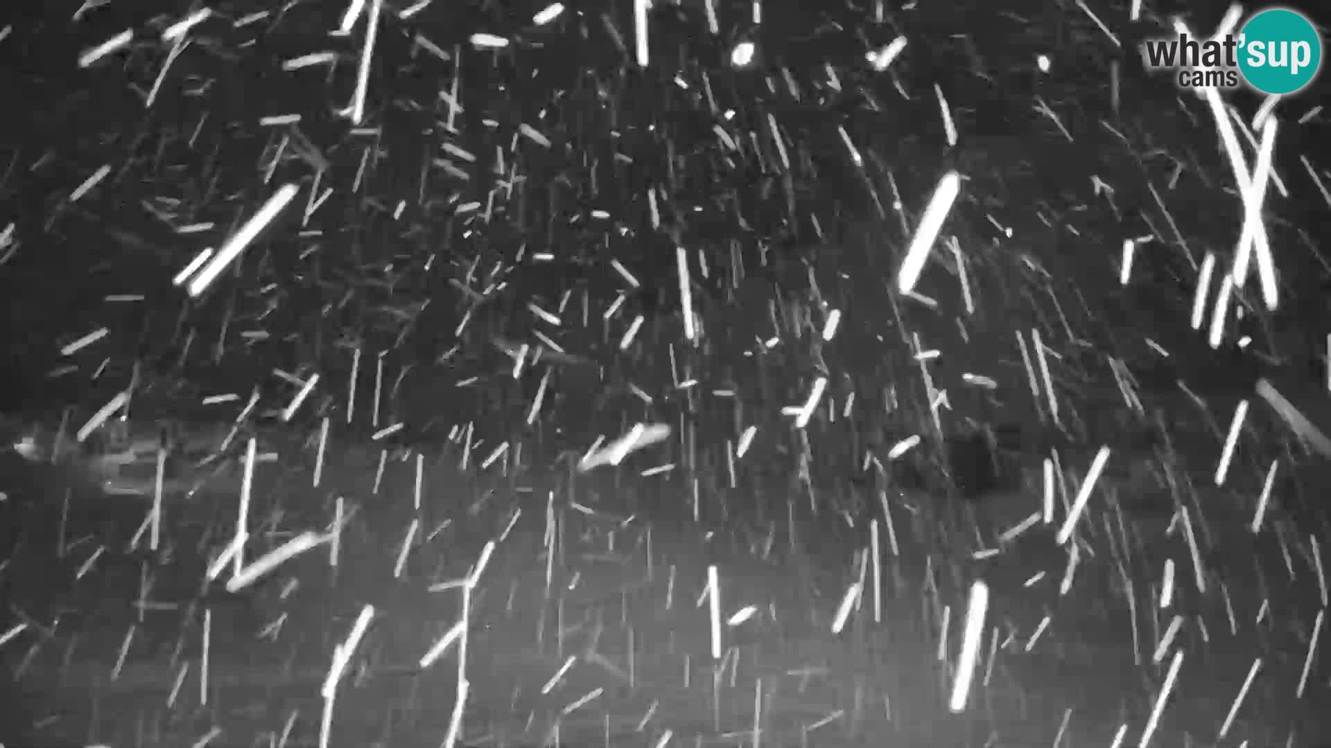 GOLTE Skigebiet webcam – Schöne Aussicht auf Medvedjak – Slowenien