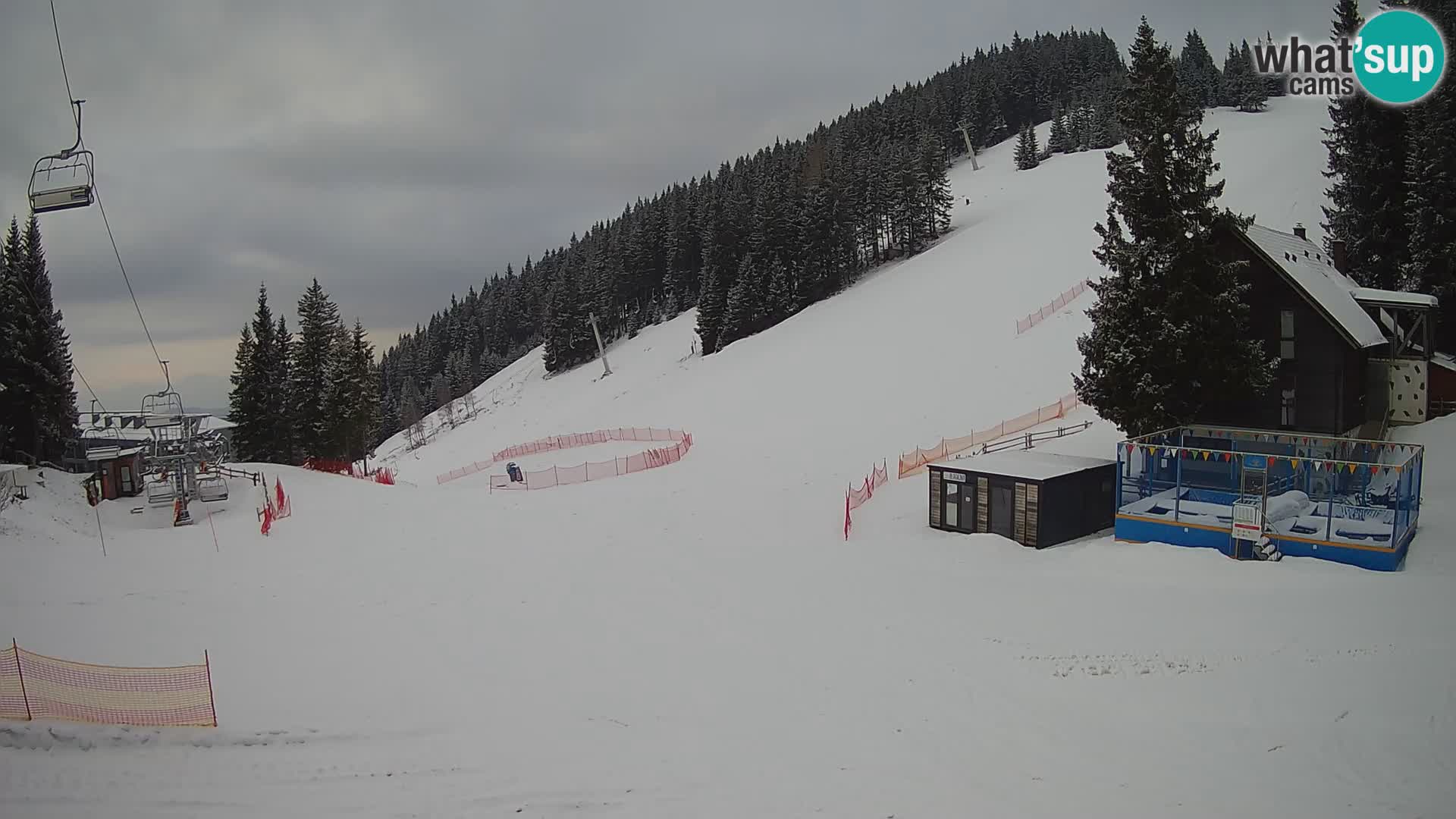 GOLTE Skigebiet webcam – Schöne Aussicht auf Medvedjak – Slowenien