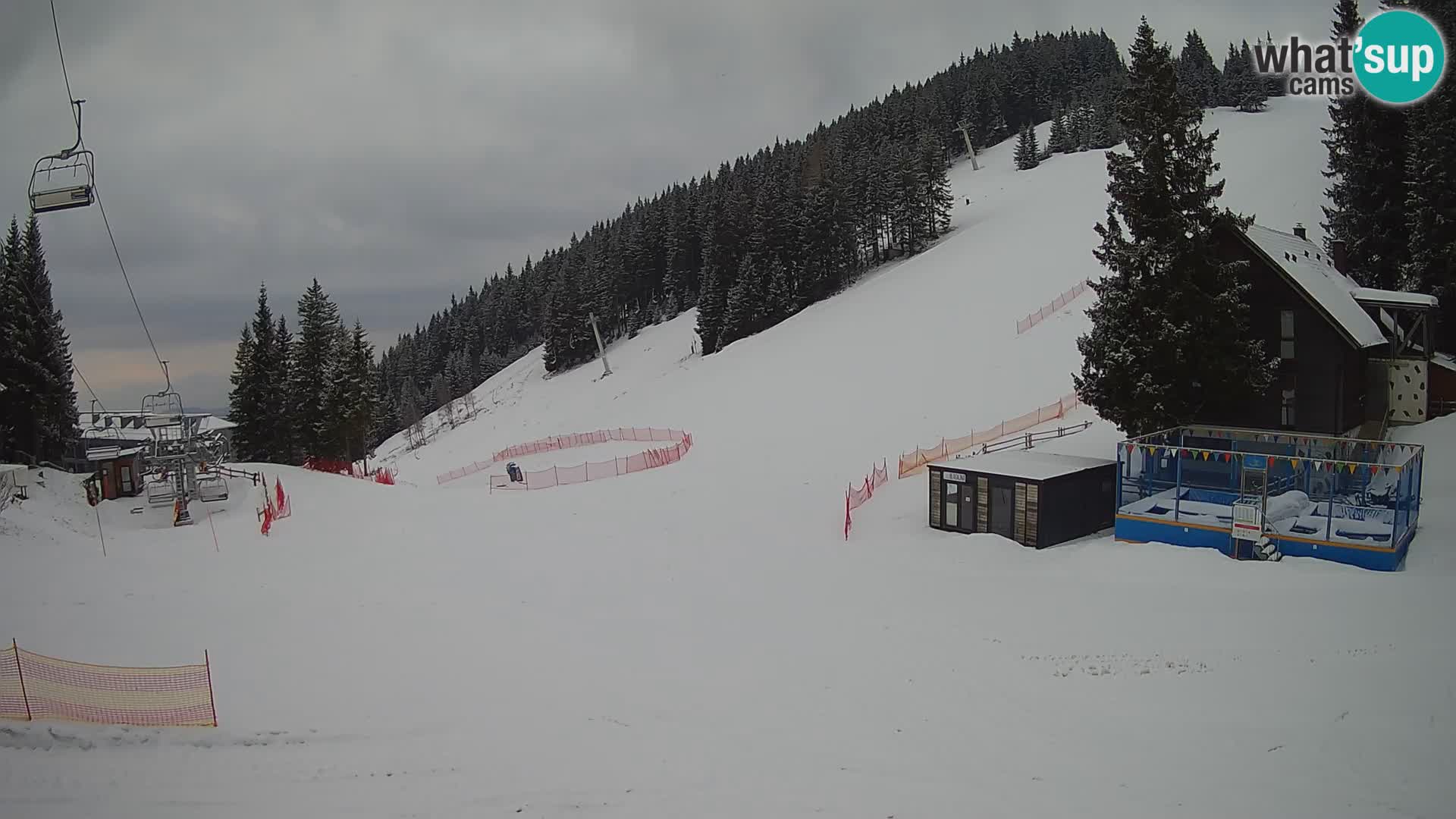 GOLTE Skigebiet webcam – Schöne Aussicht auf Medvedjak – Slowenien