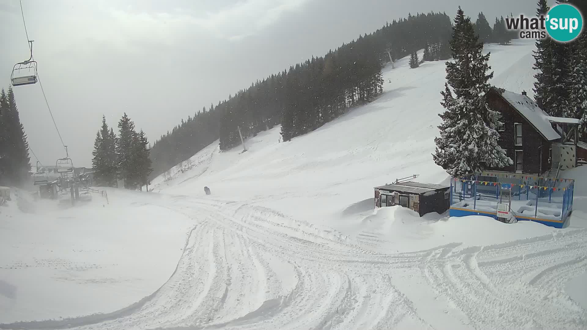GOLTE Skigebiet webcam – Schöne Aussicht auf Medvedjak – Slowenien
