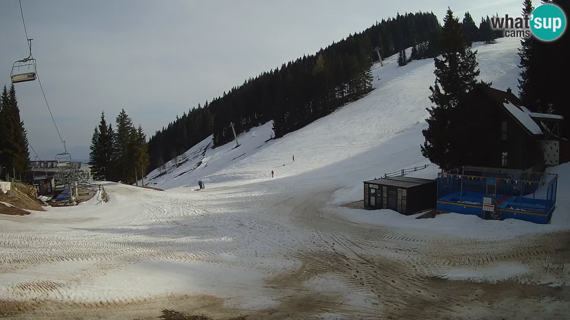 GOLTE stazione sciistica webcam – vista Medvedjak – Slovenia