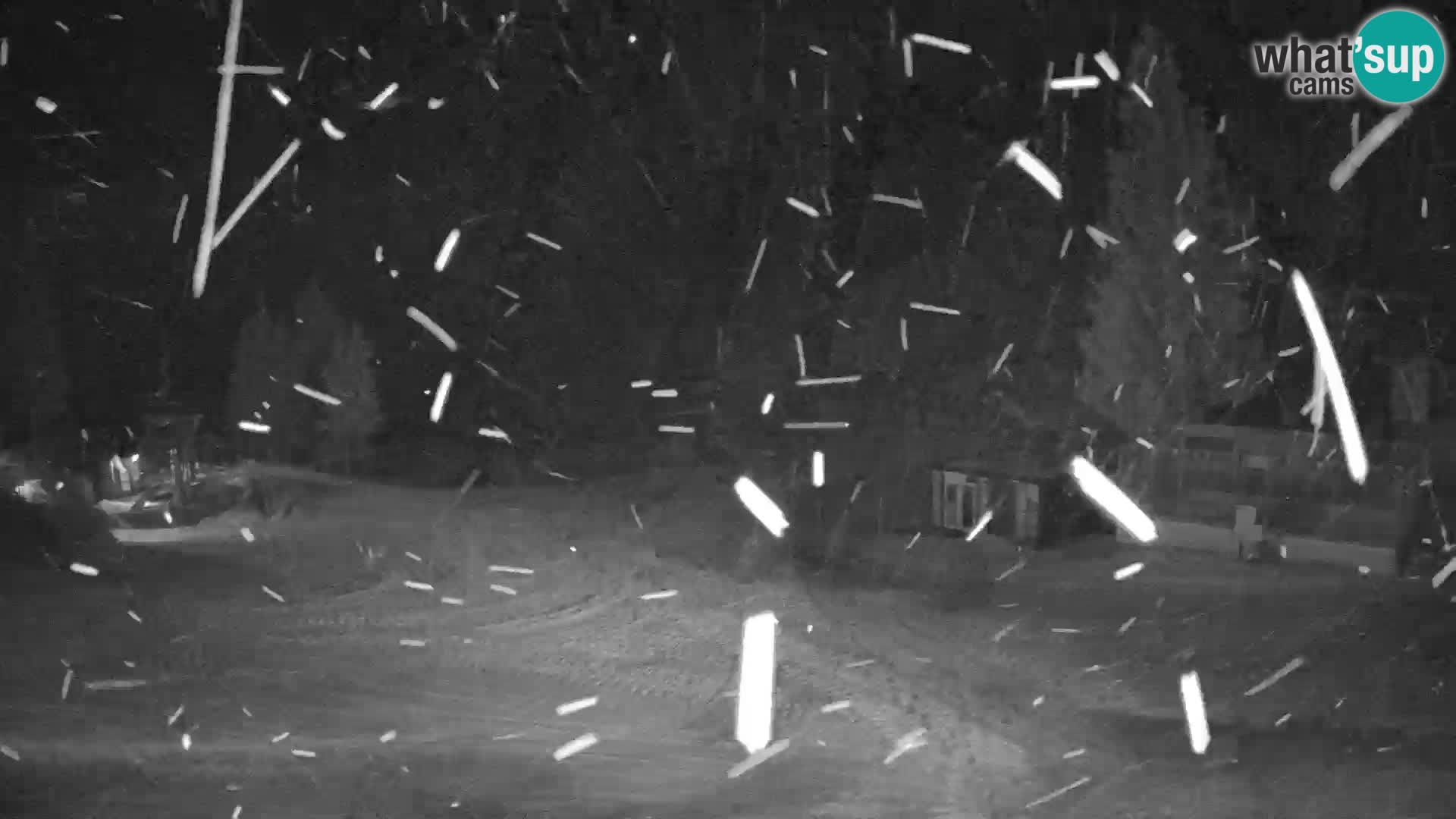 Cámara web en vivo de la estación de esquí GOLTE – vista a Medvedjak – Eslovenia