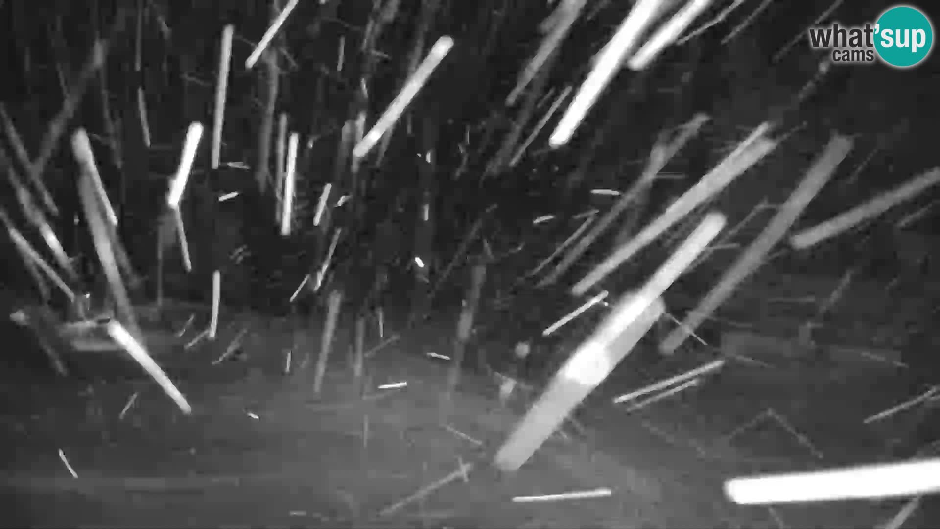 GOLTE Skigebiet webcam – Schöne Aussicht auf Medvedjak – Slowenien