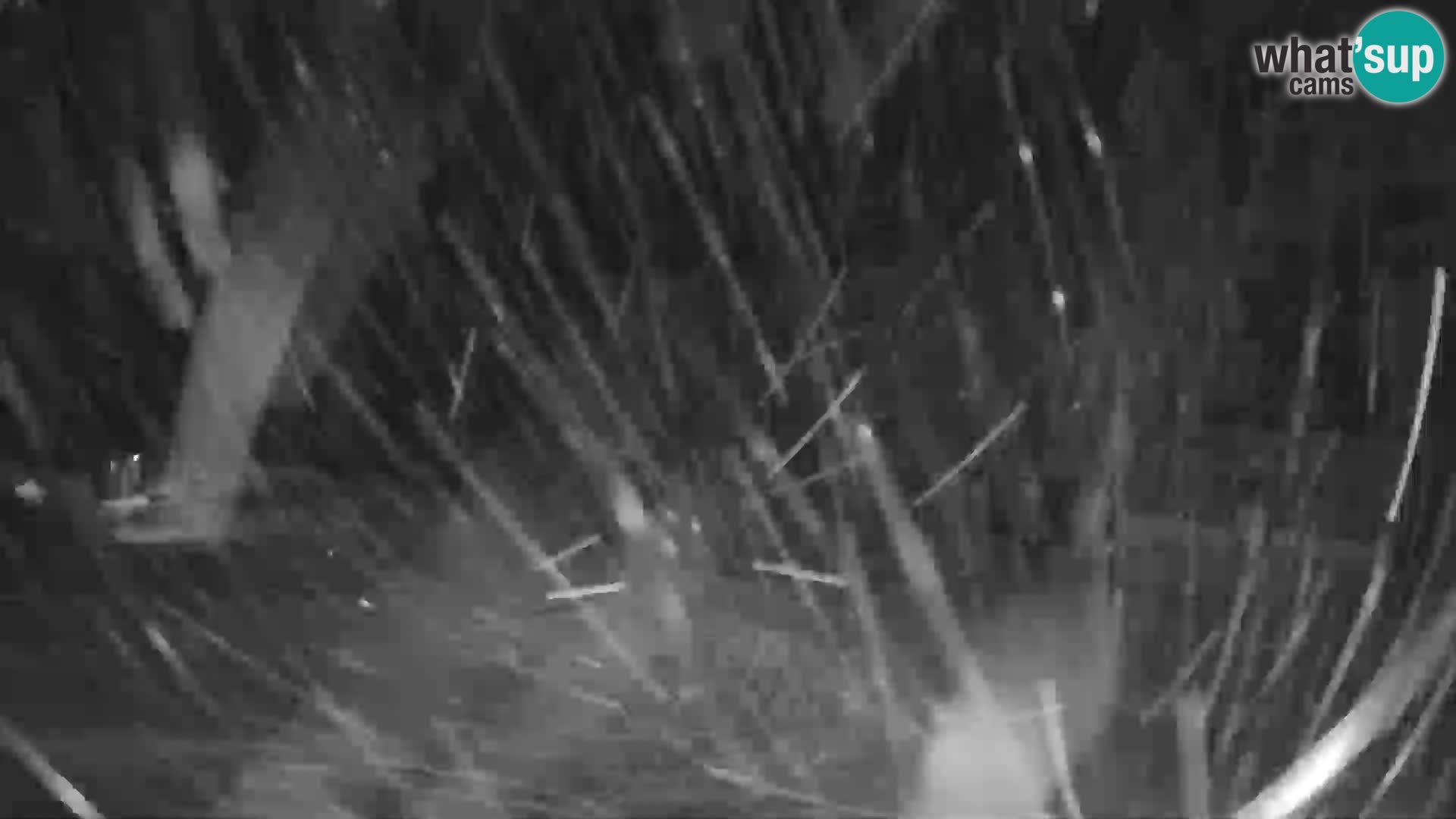 GOLTE Skigebiet webcam – Schöne Aussicht auf Medvedjak – Slowenien