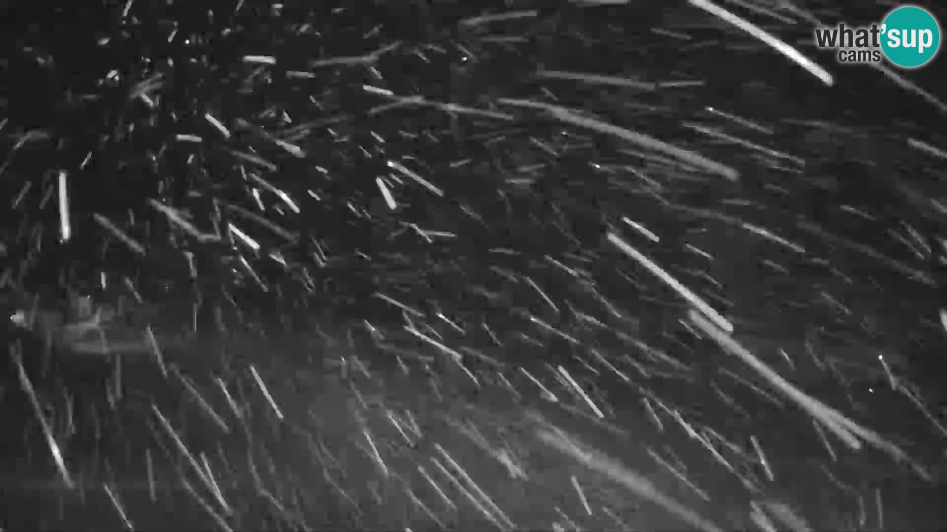 Webcam en direct de la station de ski de GOLTE – vue sur Medvedjak – Slovénie