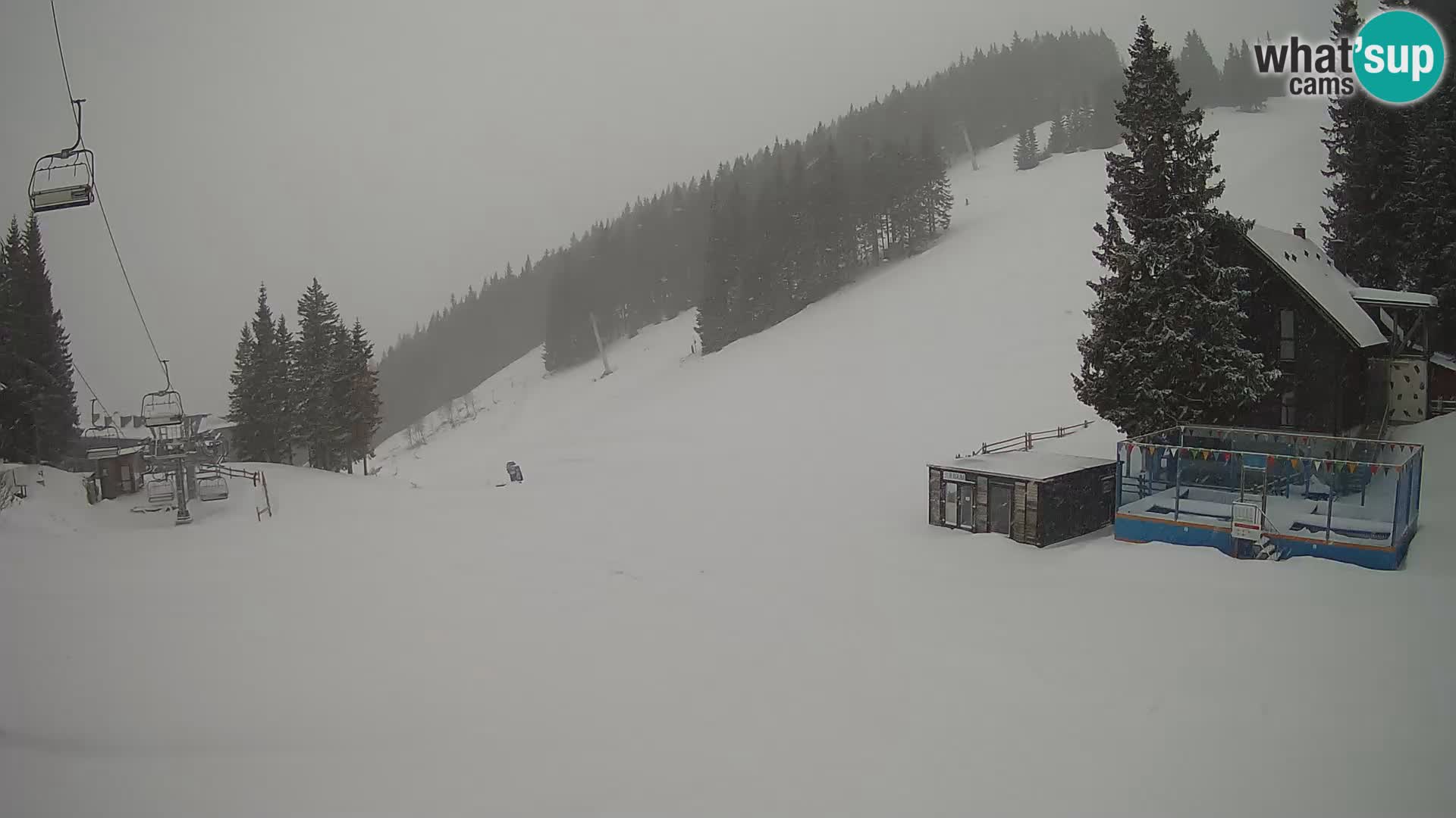 GOLTE stazione sciistica webcam – vista Medvedjak – Slovenia