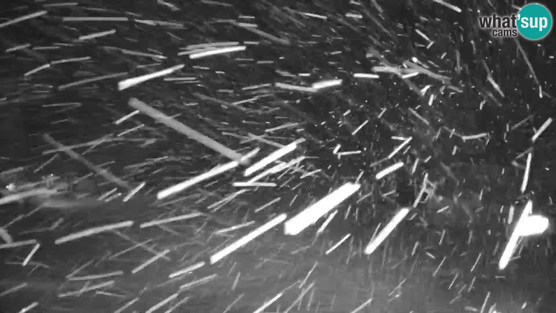 GOLTE Skigebiet webcam – Schöne Aussicht auf Medvedjak – Slowenien