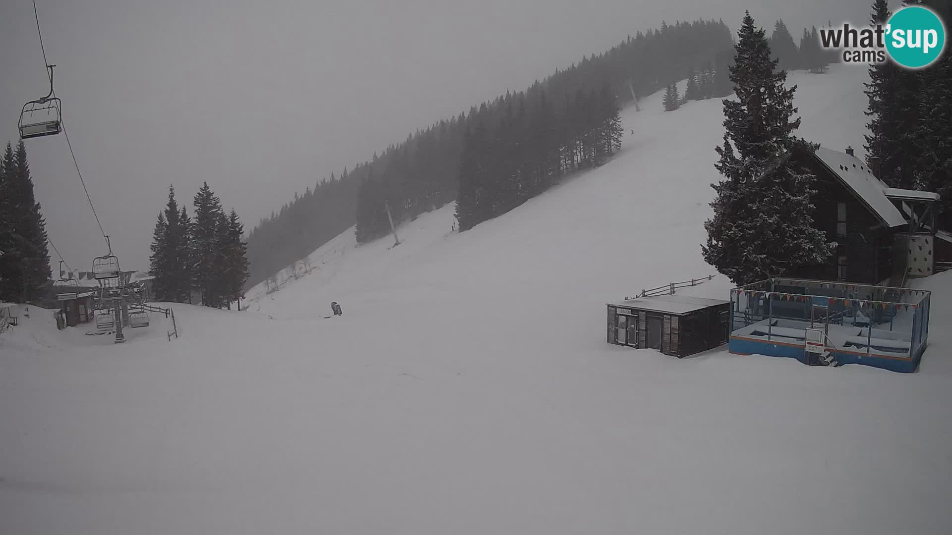 Spletna kamera smučišča GOLTE v živo – pogled na Medvedjak