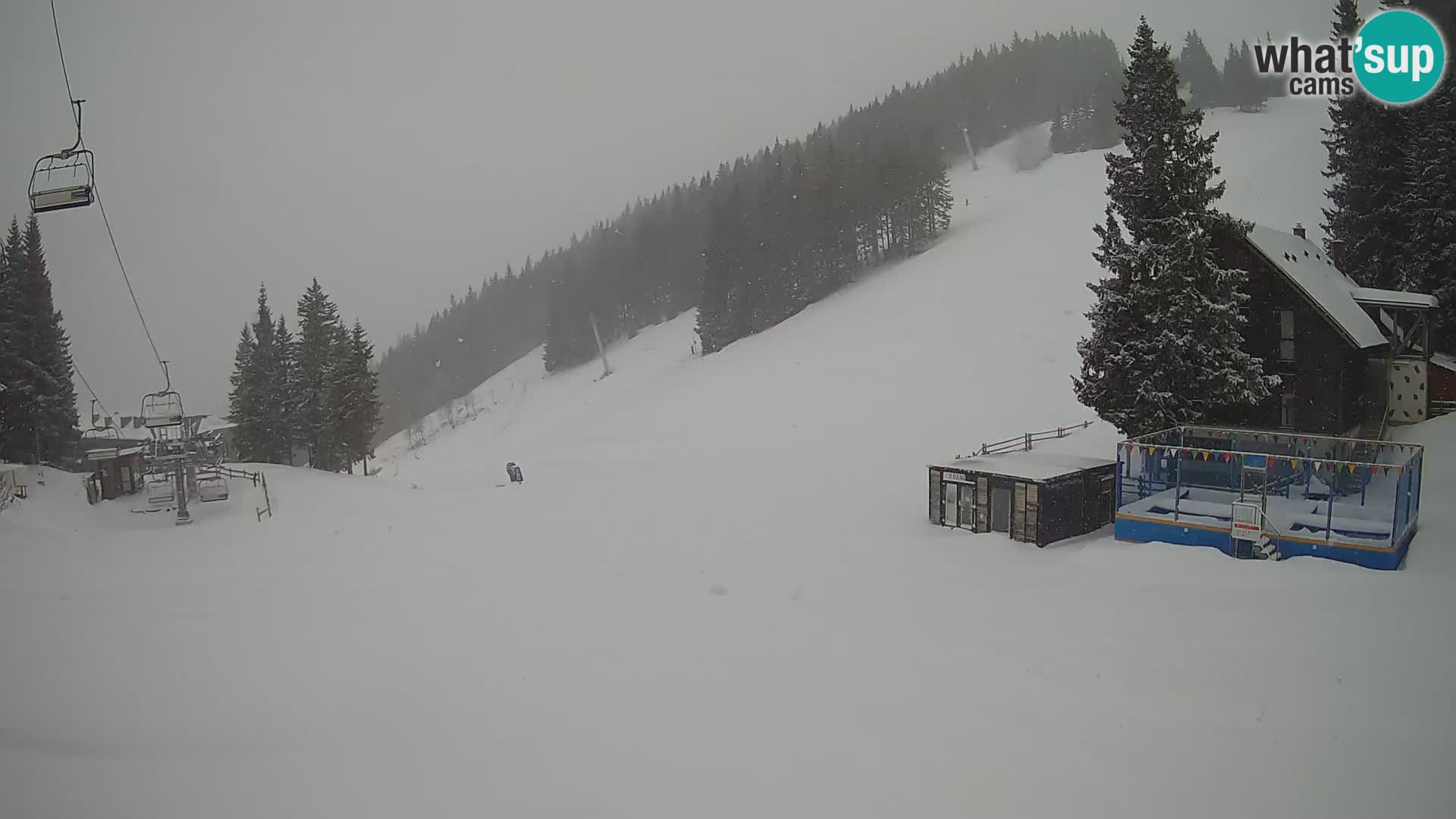 GOLTE stazione sciistica webcam – vista Medvedjak – Slovenia