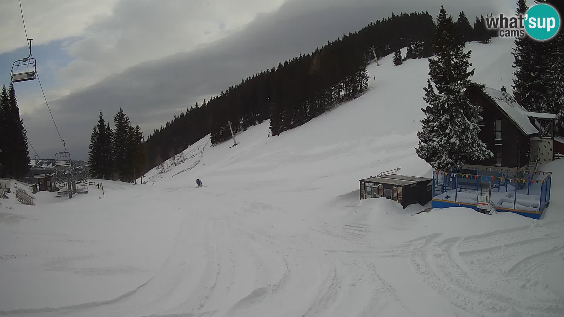 Spletna kamera smučišča GOLTE v živo – pogled na Medvedjak