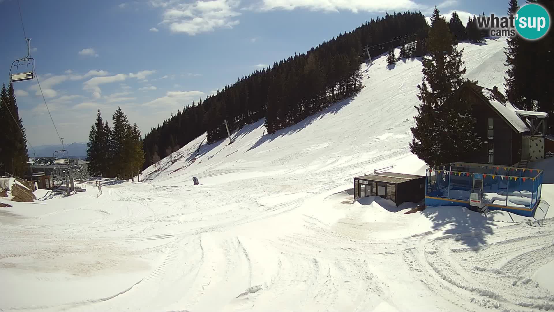 Spletna kamera smučišča GOLTE v živo – pogled na Medvedjak