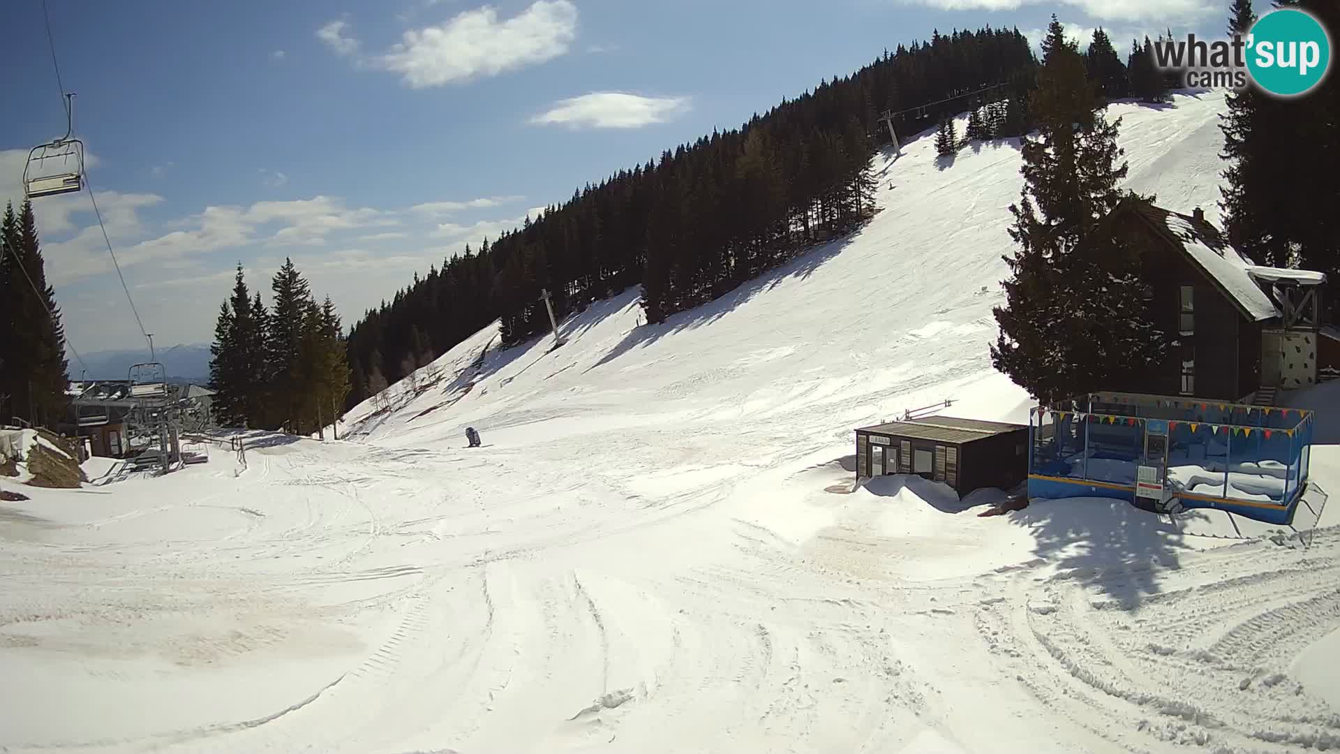GOLTE Skigebiet webcam – Schöne Aussicht auf Medvedjak – Slowenien