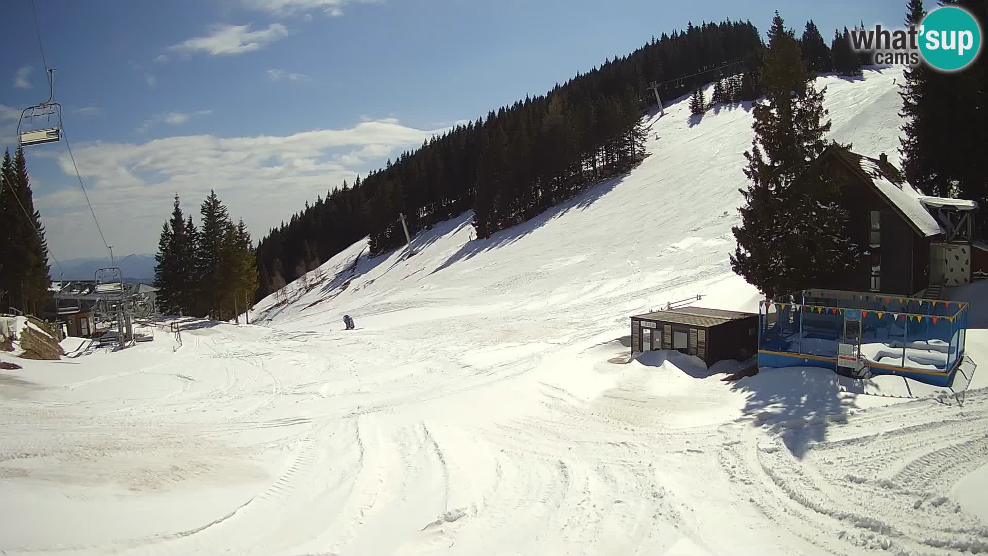 GOLTE Skigebiet webcam – Schöne Aussicht auf Medvedjak – Slowenien