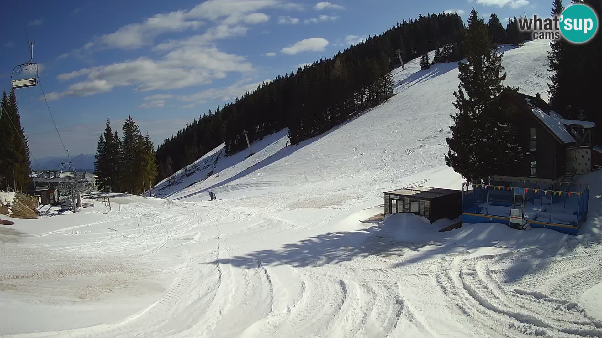 Spletna kamera smučišča GOLTE v živo – pogled na Medvedjak