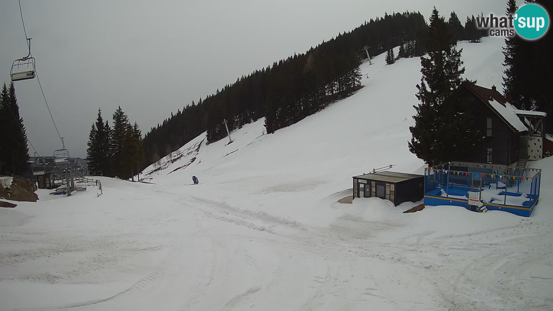 GOLTE stazione sciistica webcam – vista Medvedjak – Slovenia