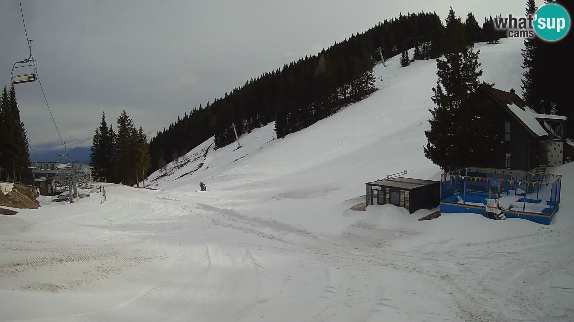 GOLTE stazione sciistica webcam – vista Medvedjak – Slovenia