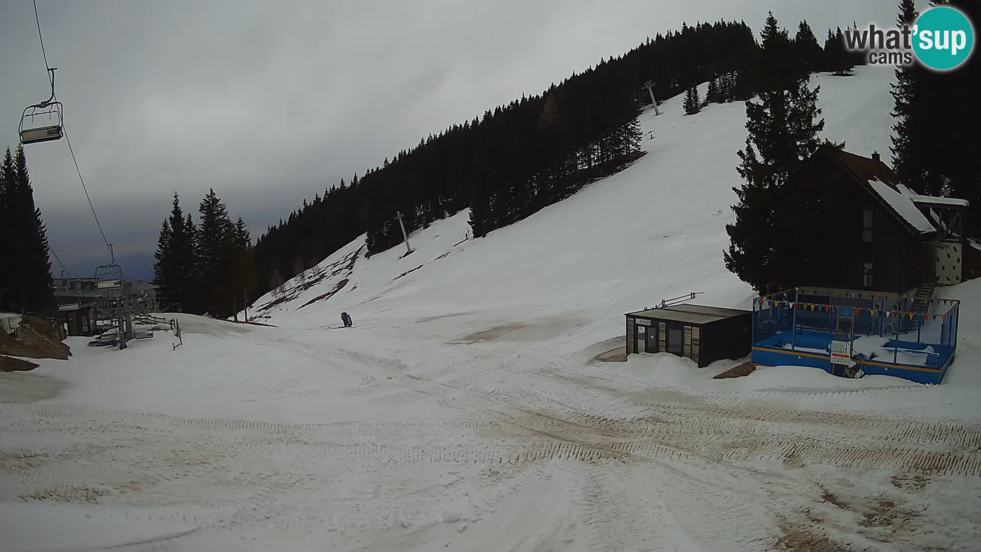 Spletna kamera smučišča GOLTE v živo – pogled na Medvedjak