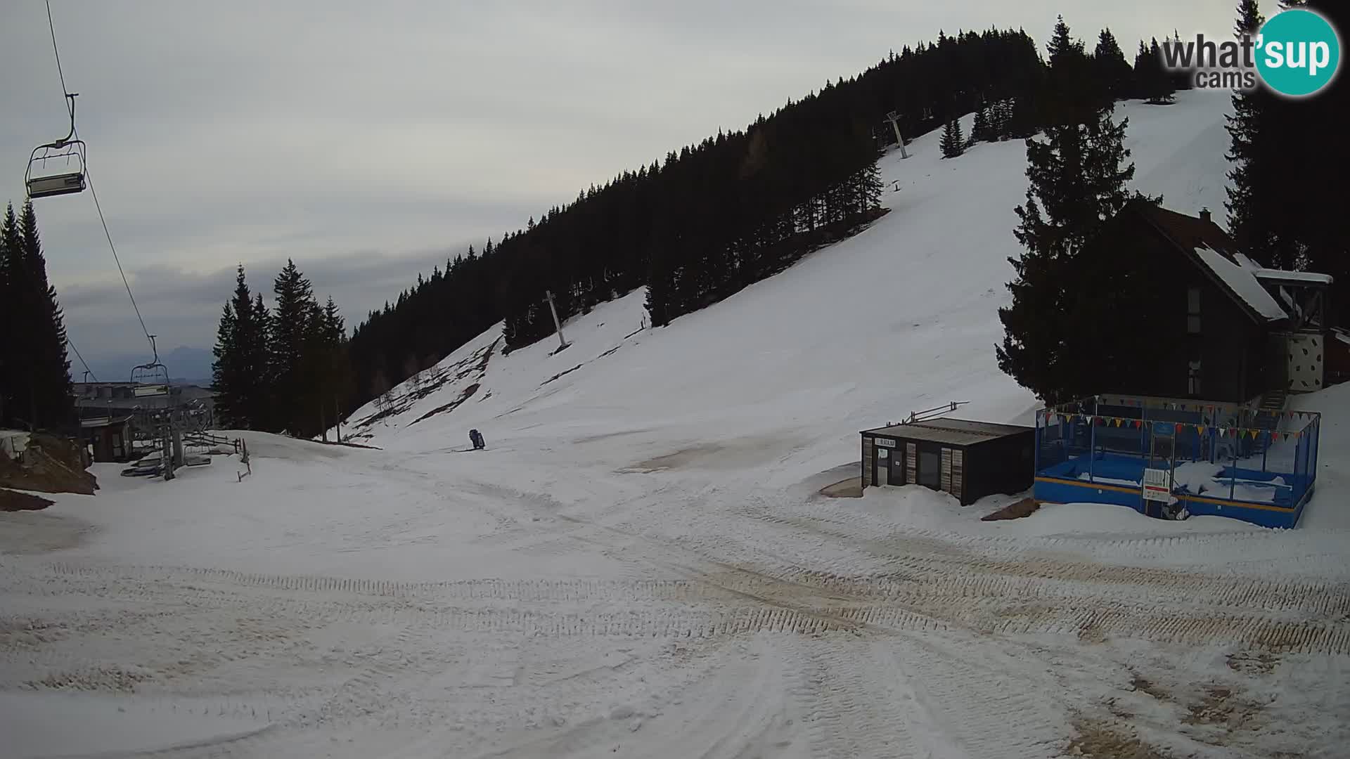 Spletna kamera smučišča GOLTE v živo – pogled na Medvedjak