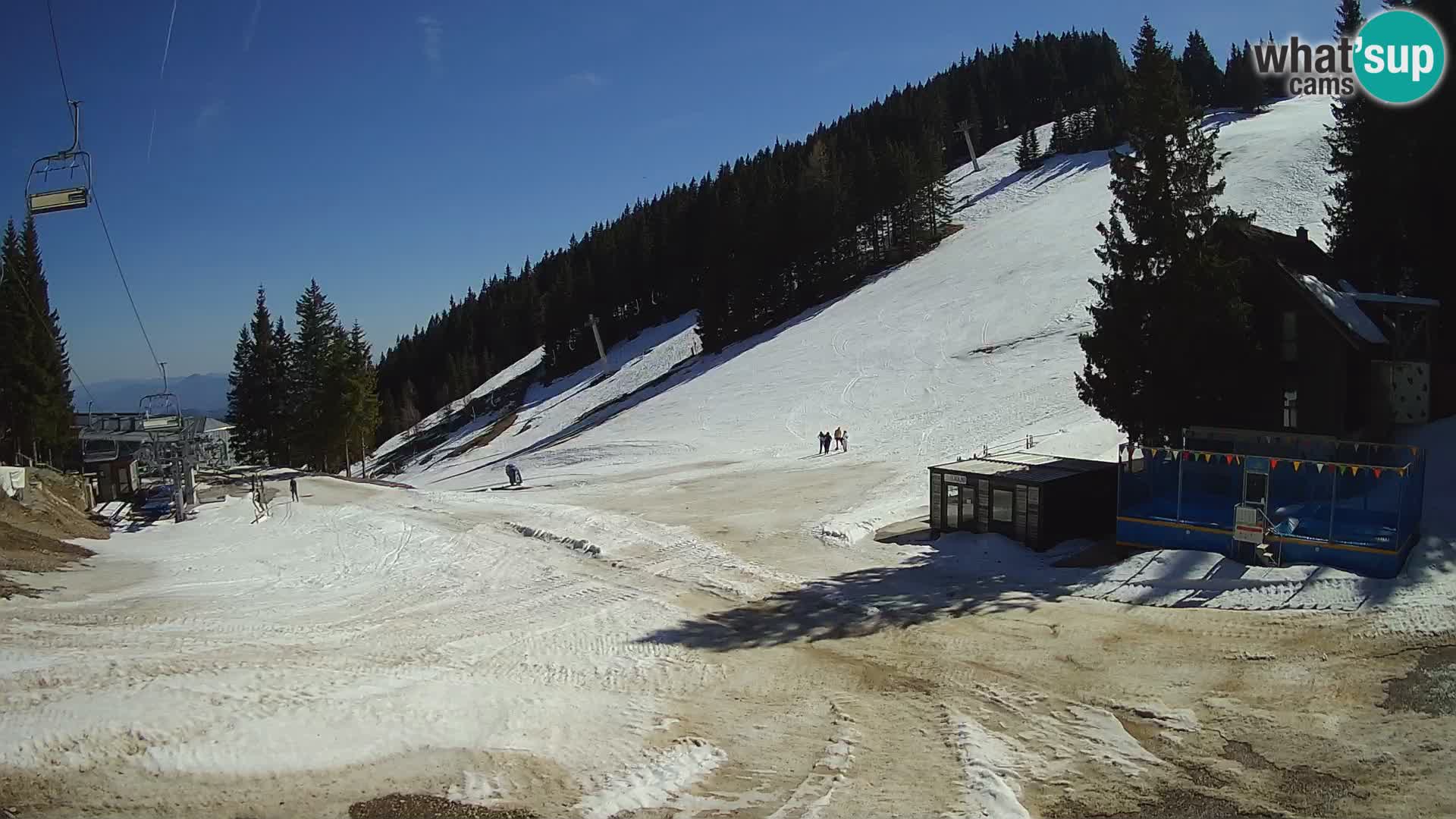 GOLTE Skigebiet webcam – Schöne Aussicht auf Medvedjak – Slowenien