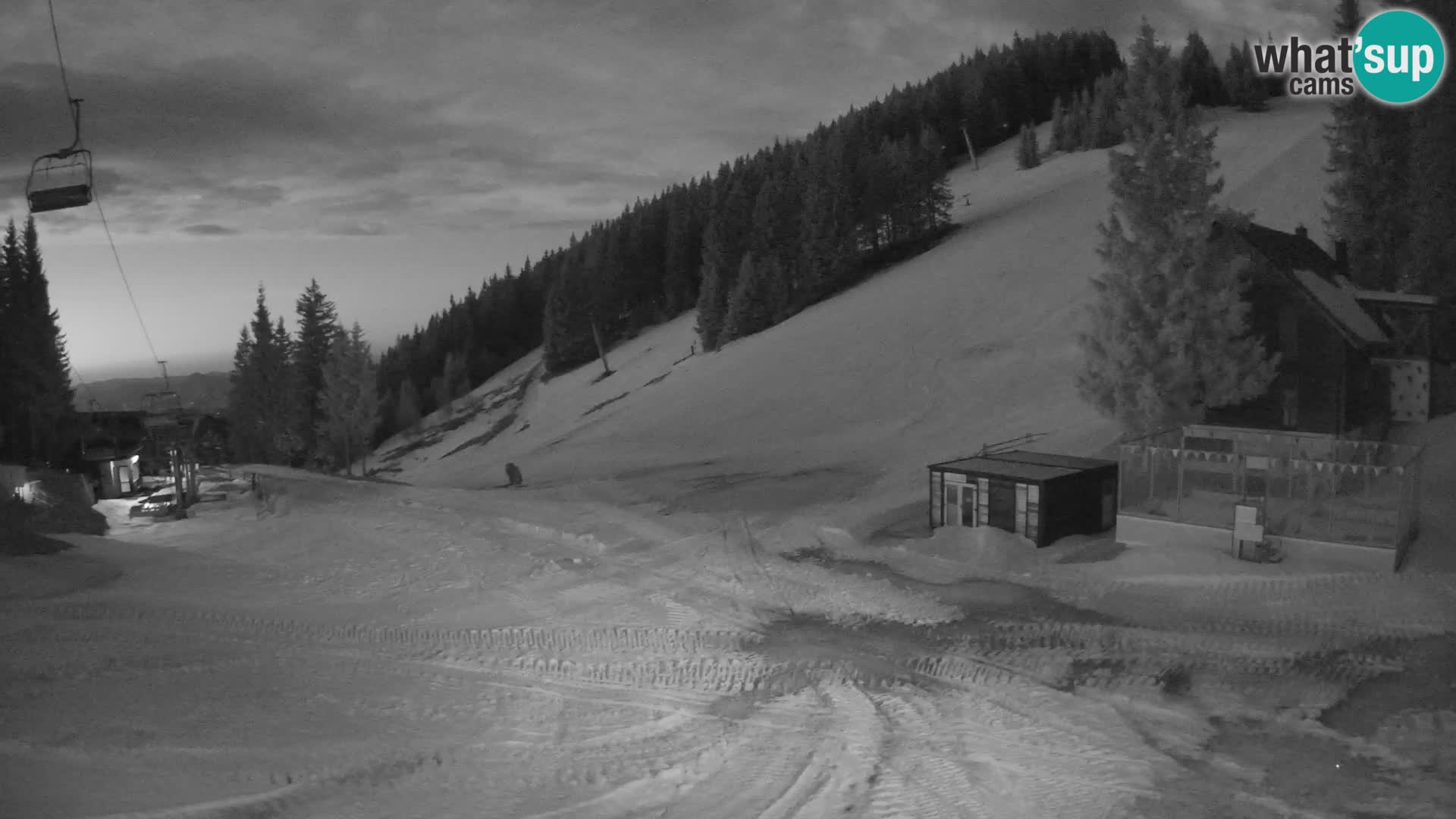 Cámara web en vivo de la estación de esquí GOLTE – vista a Medvedjak – Eslovenia