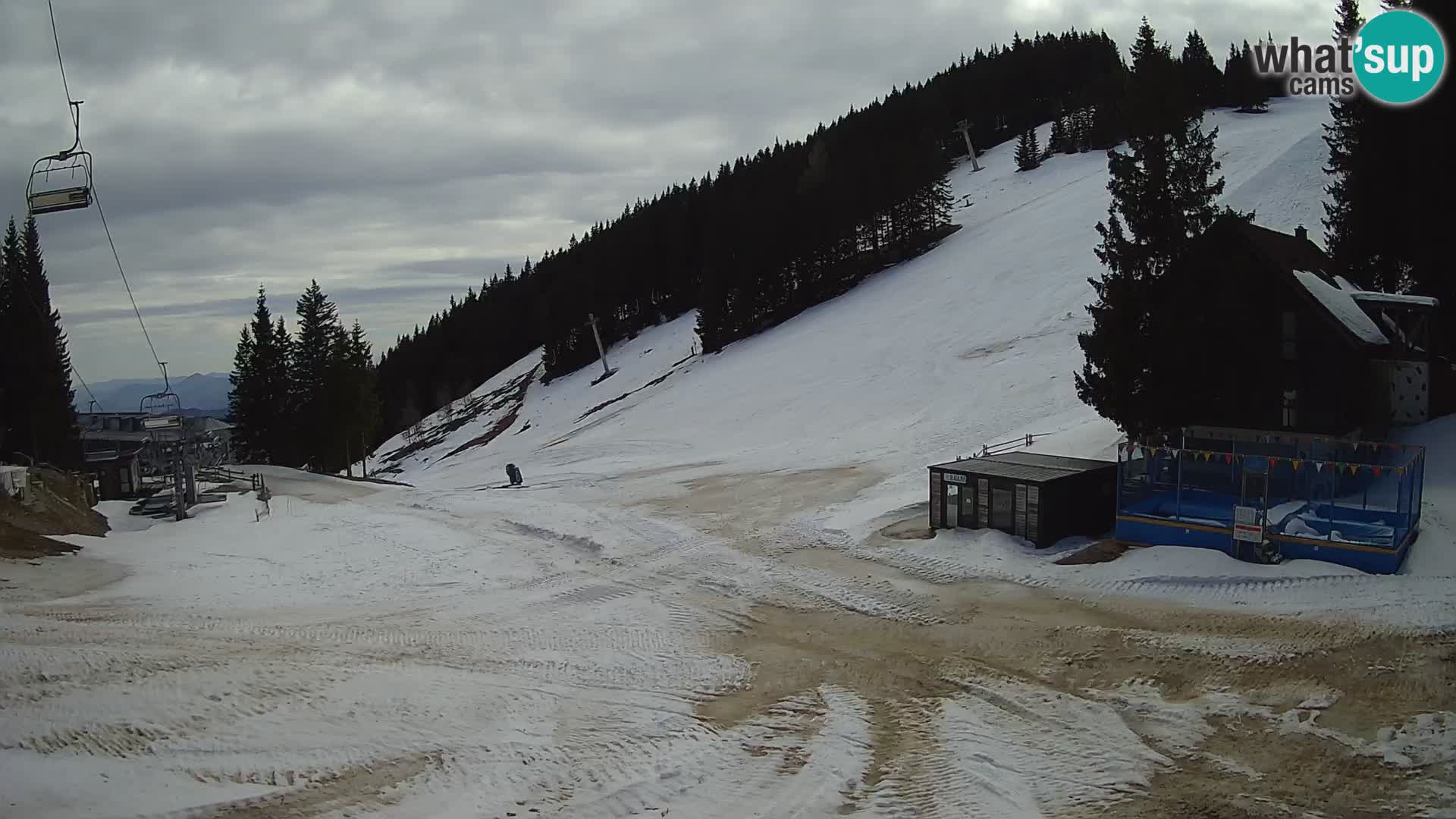 GOLTE stazione sciistica webcam – vista Medvedjak – Slovenia