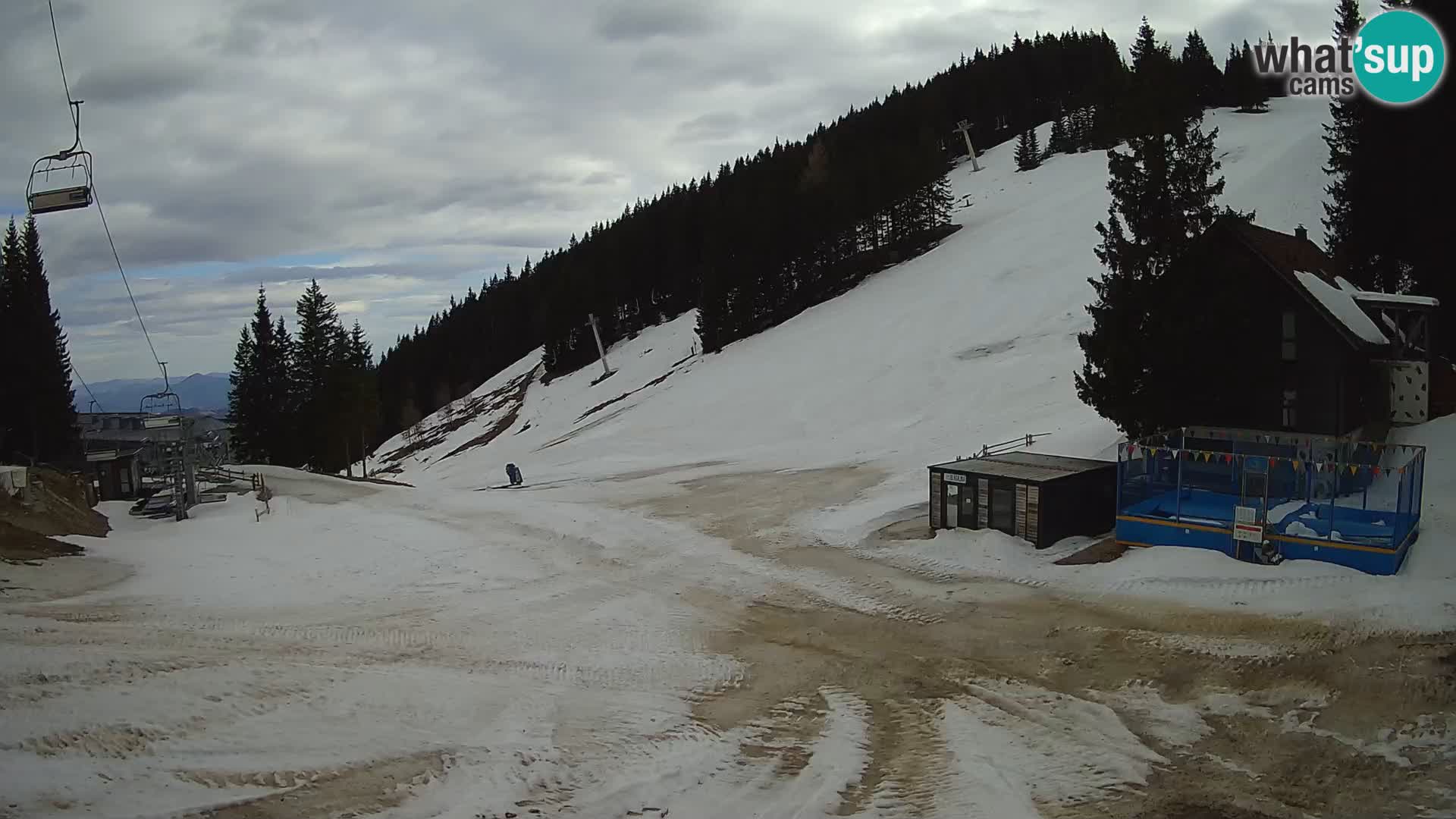 GOLTE Skigebiet webcam – Schöne Aussicht auf Medvedjak – Slowenien